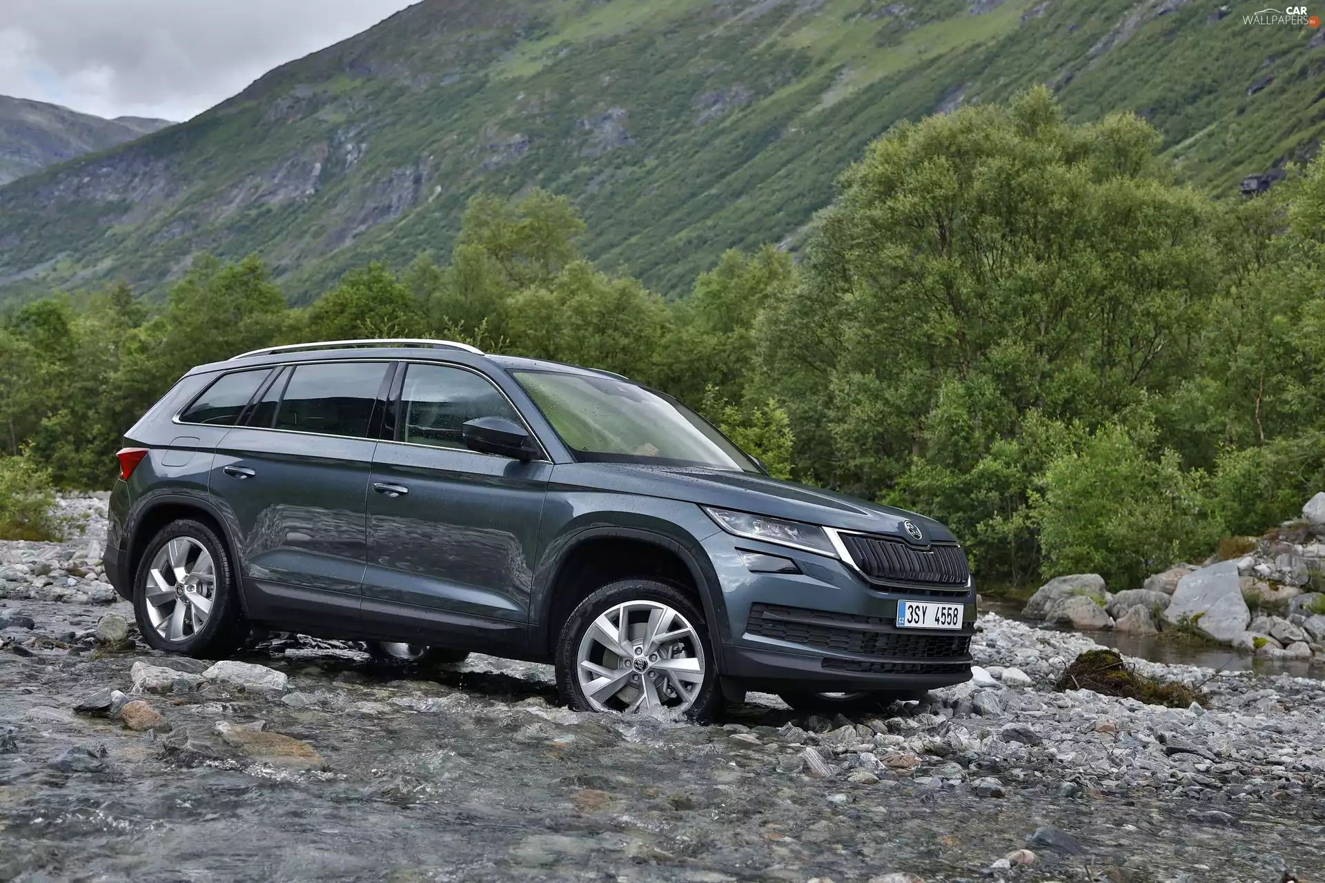 Skoda Kodiaq, side