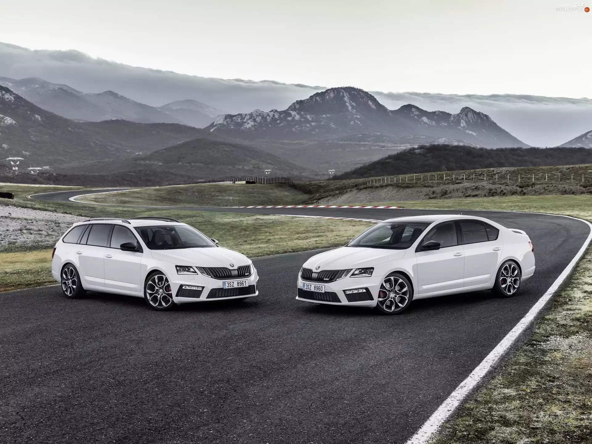 Two cars, cars, Skoda Octavia, White