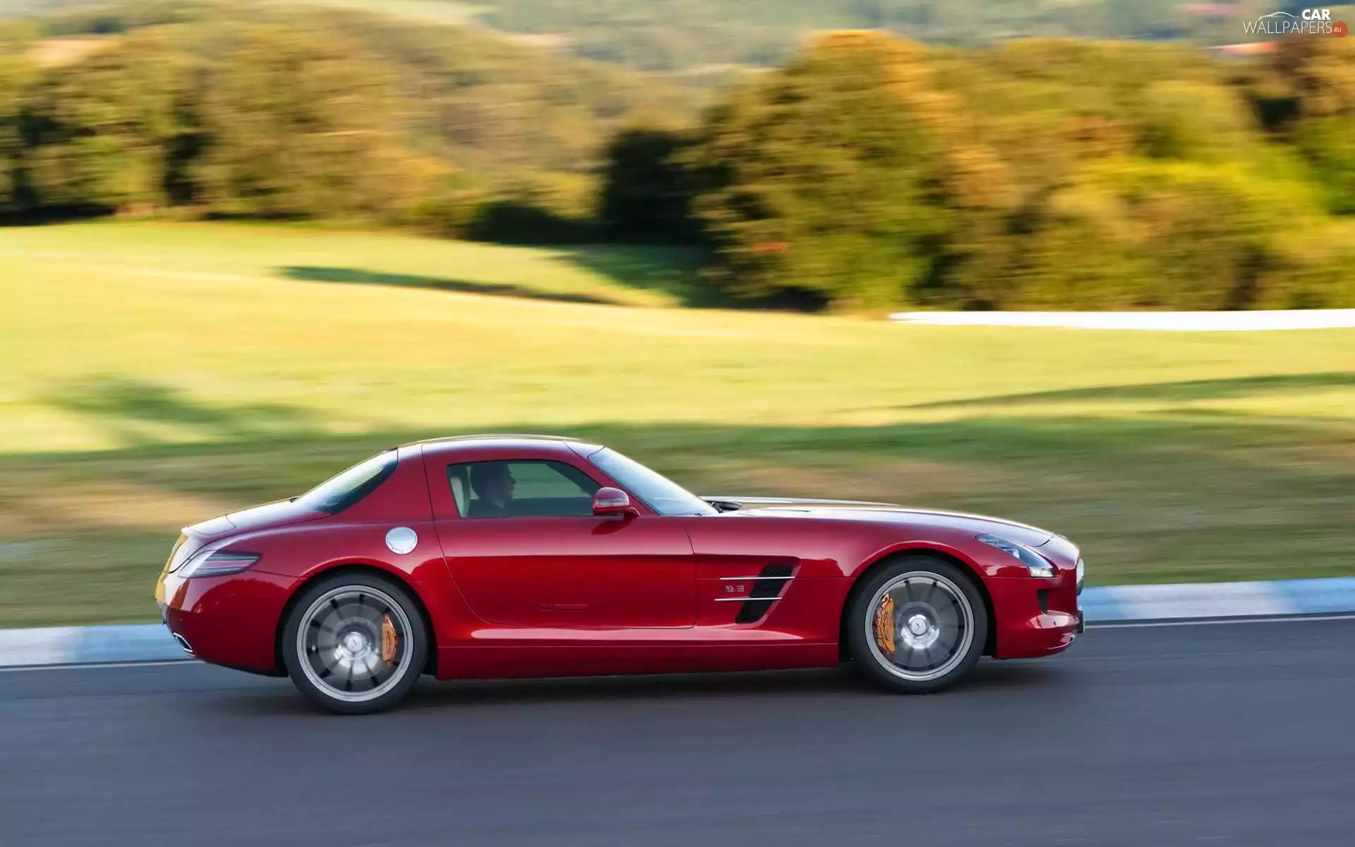 Mercedes SLS, brake, AMG, grip