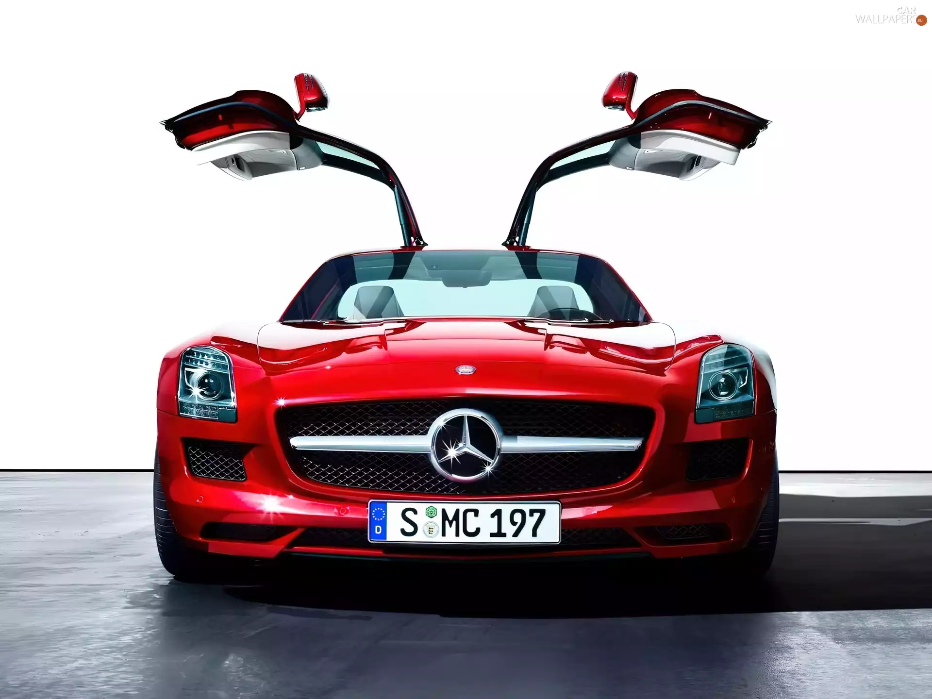 Doors, Mercedes Benz SLS, The hinged