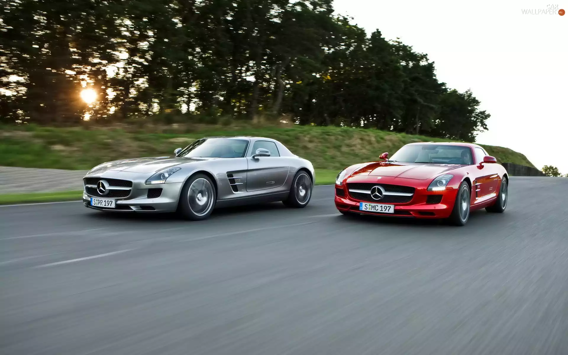 Two cars, Mercedesy SLS