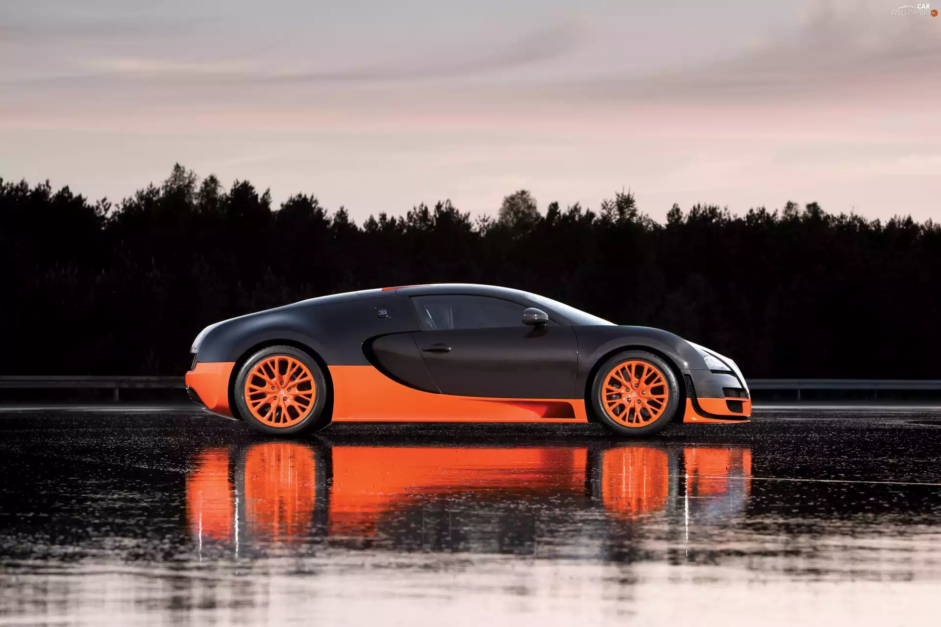 16.4 Super Sport, Bugatti Veyron, version