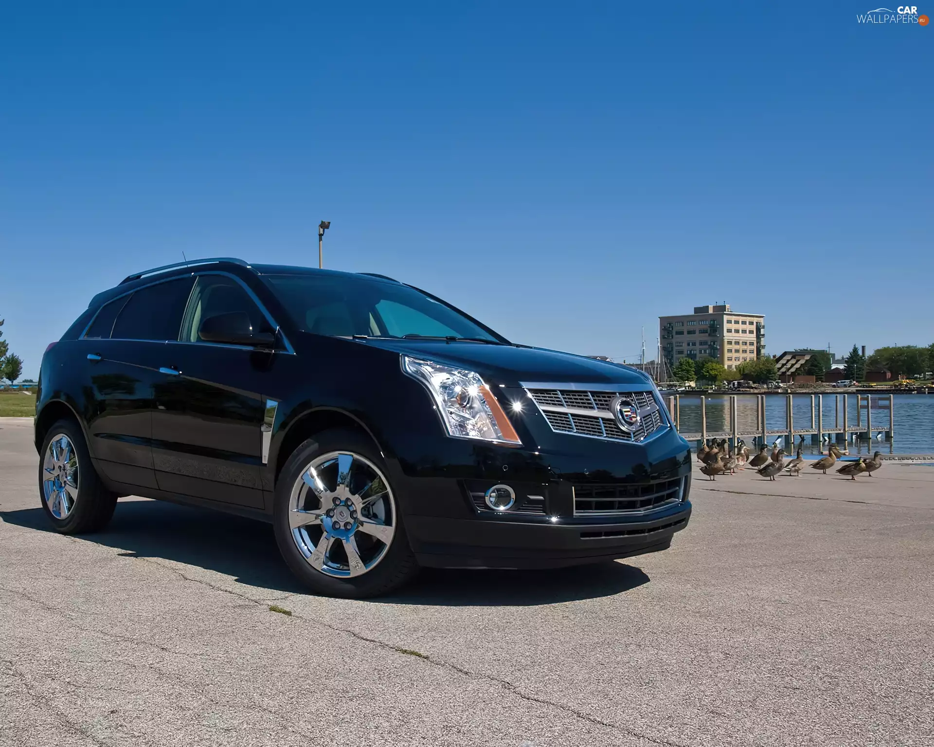 Black, Chrome, @, Cadillac SRX
