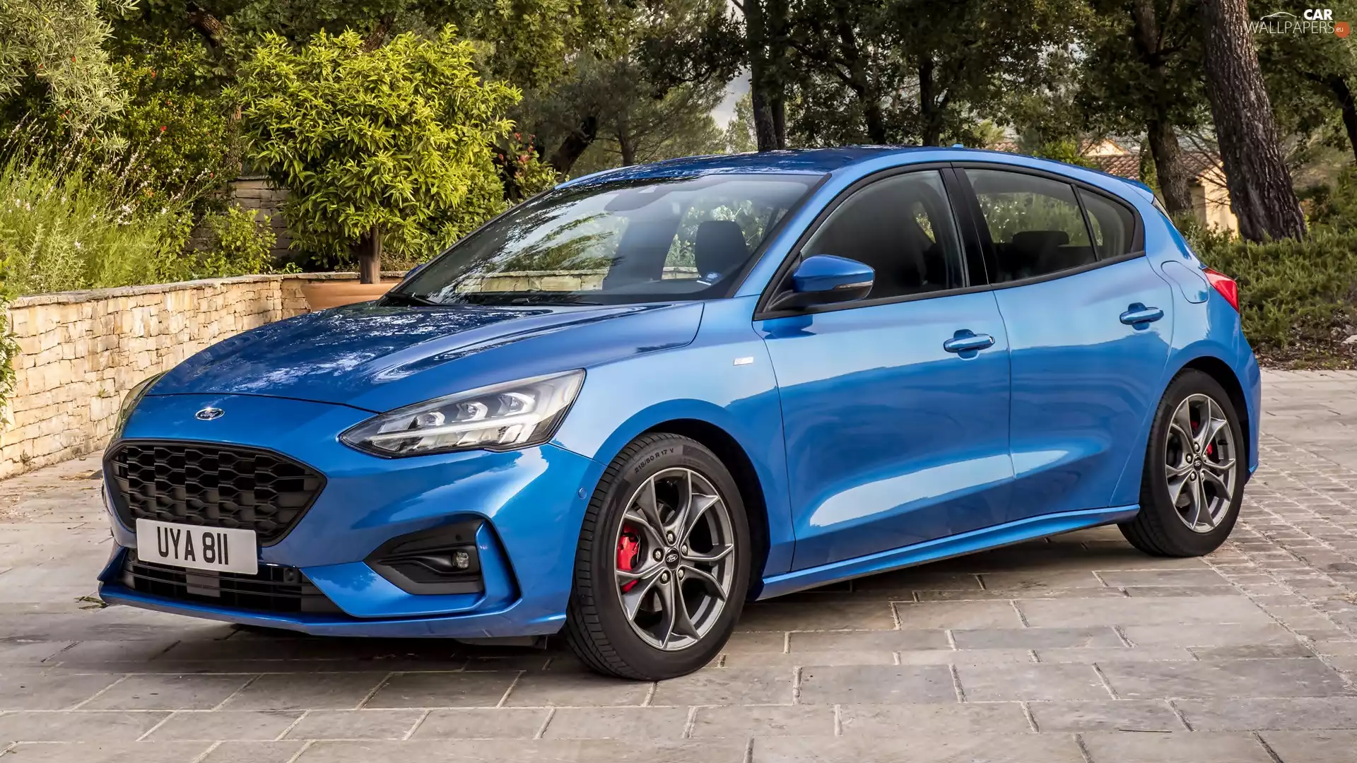 blue, Ford Focus ST