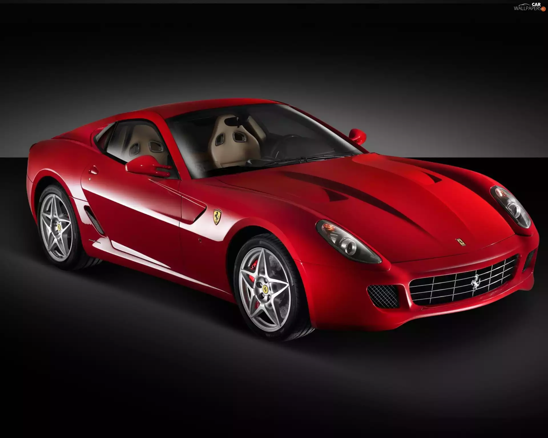 starfish, Ferrari 599, @