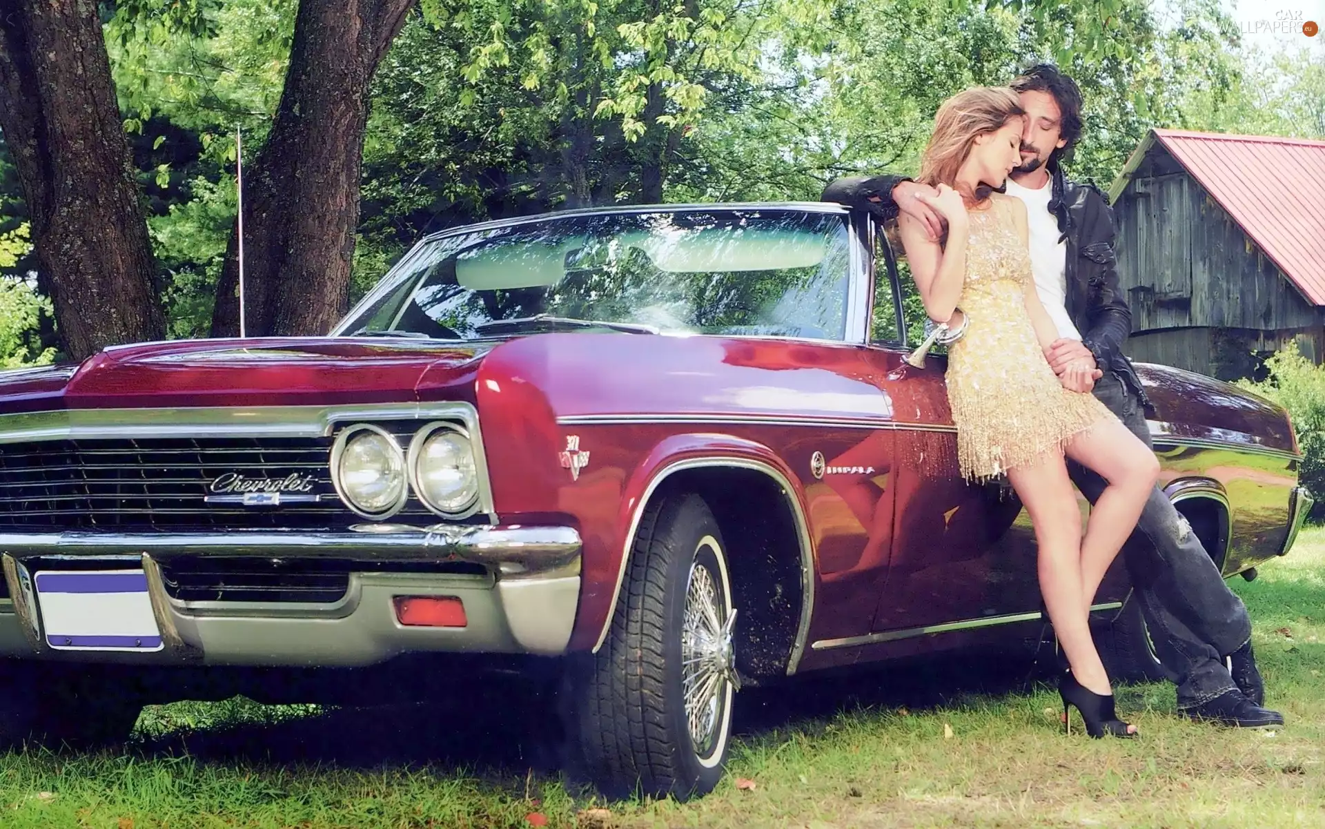 Love, Automobile, Plein, Steam