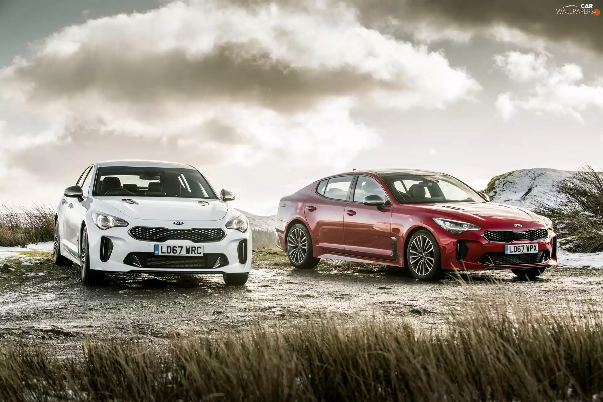 Kia Stinger, Two cars, cars