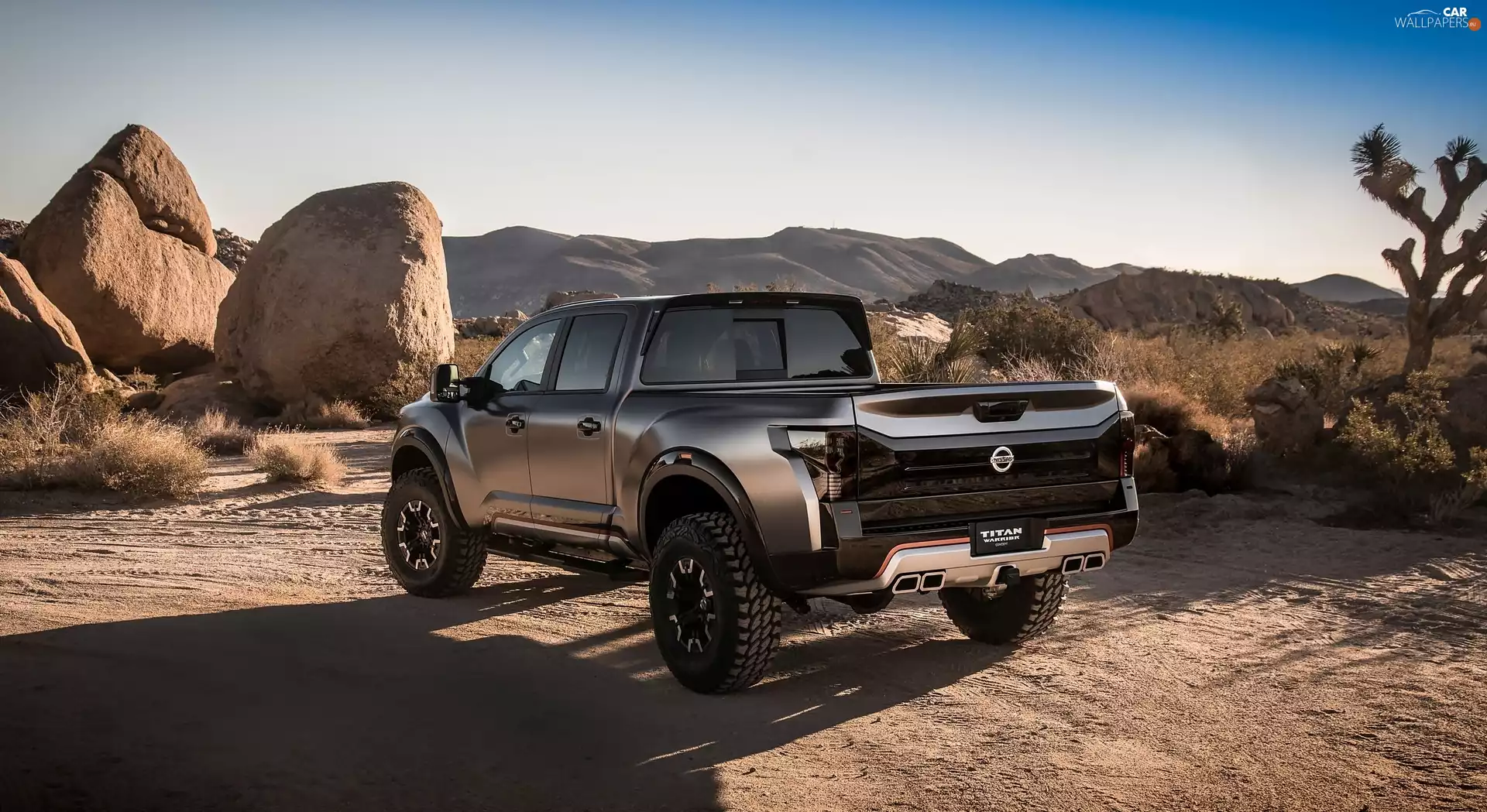 Nissan, Stones, plant, Titan Warrior