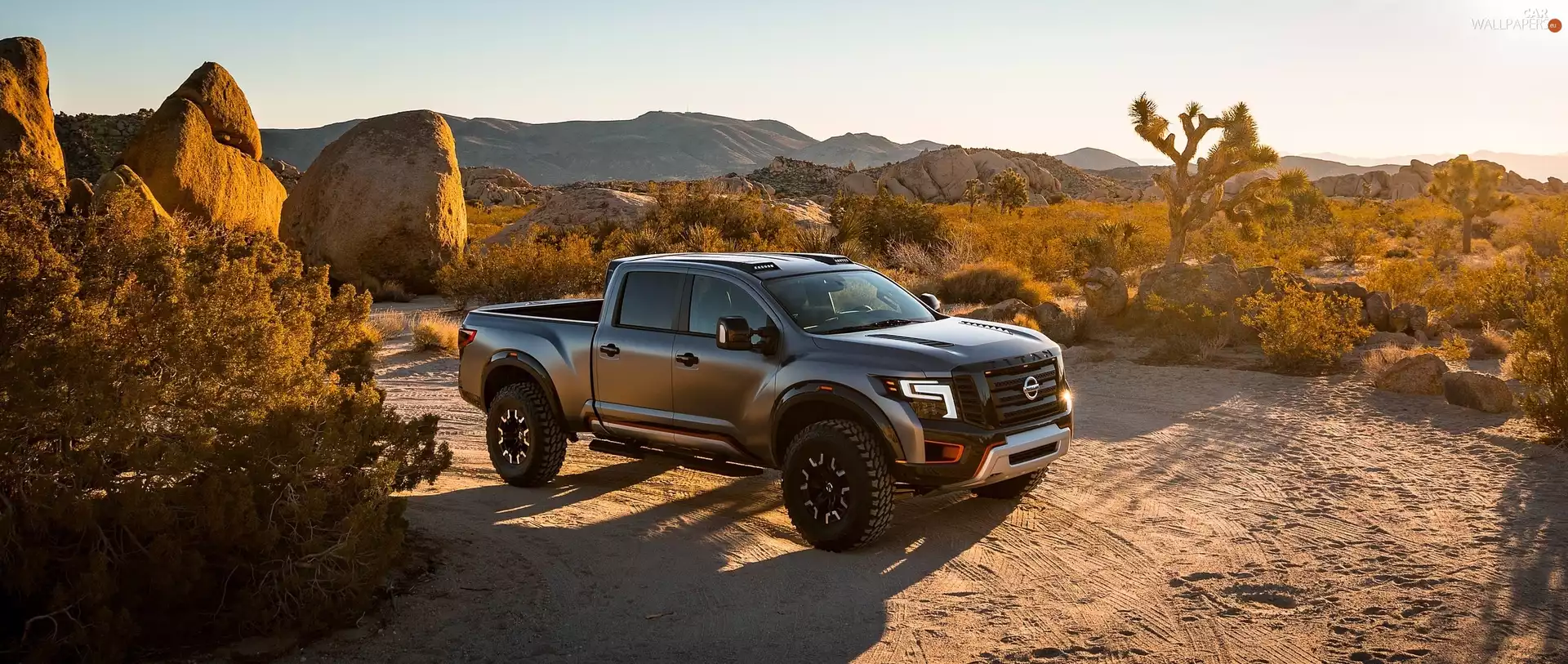 Nissan, Stones, plants, Titan Warrior