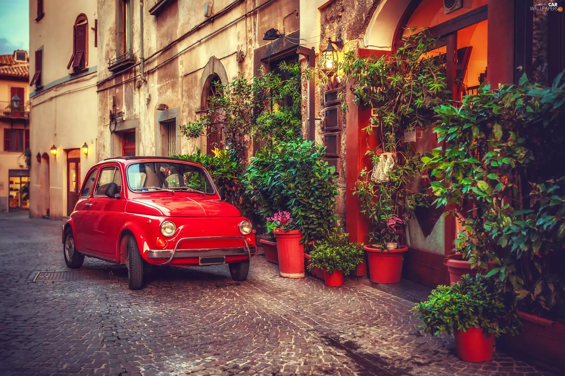 Plants, Fiat 500, Street