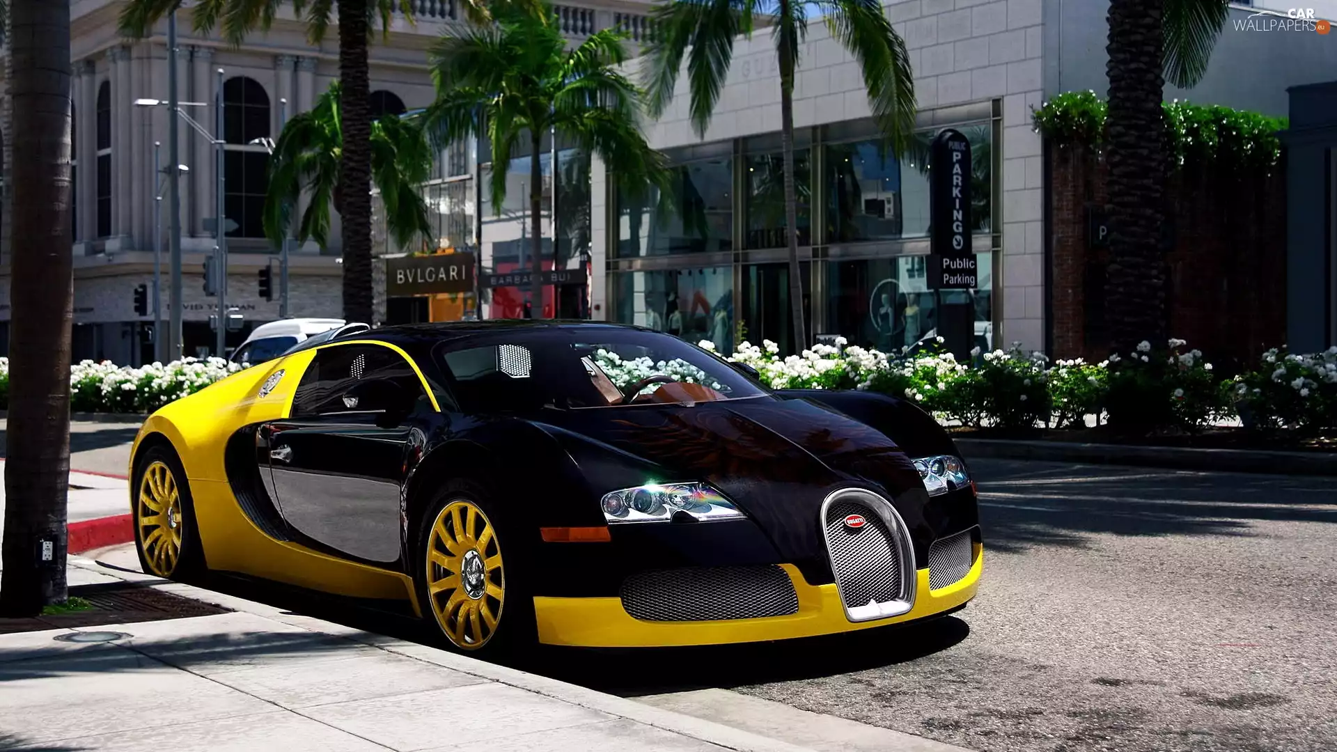 Graphite Yellow, Town, Street, Bugatti Veyron