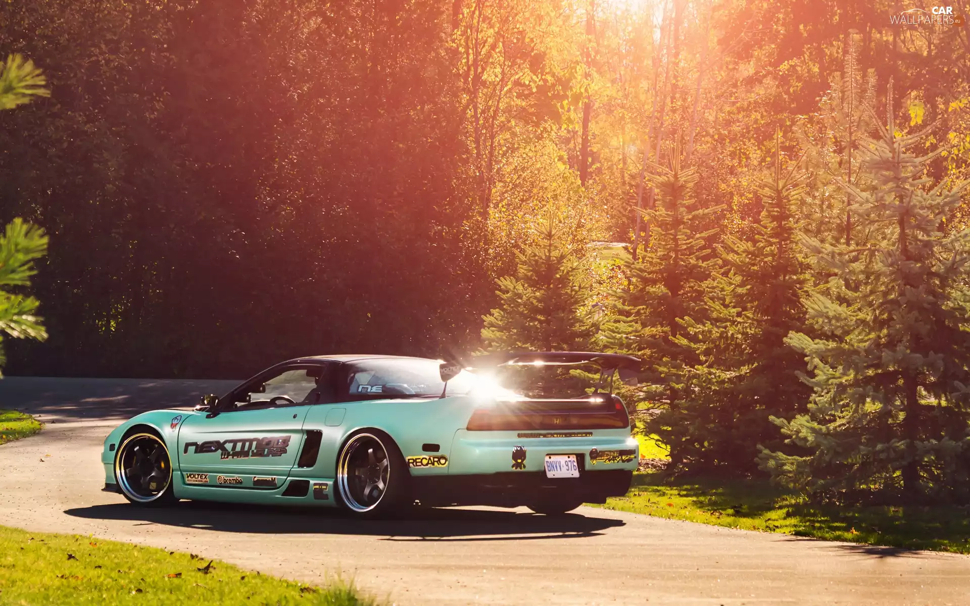 forest, Honda NSX, sun, autumn, rays, Way