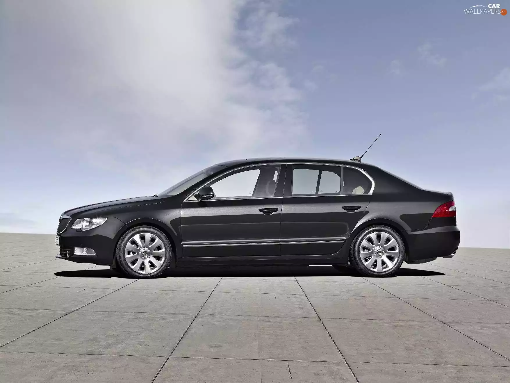 black, Left, side, Superb