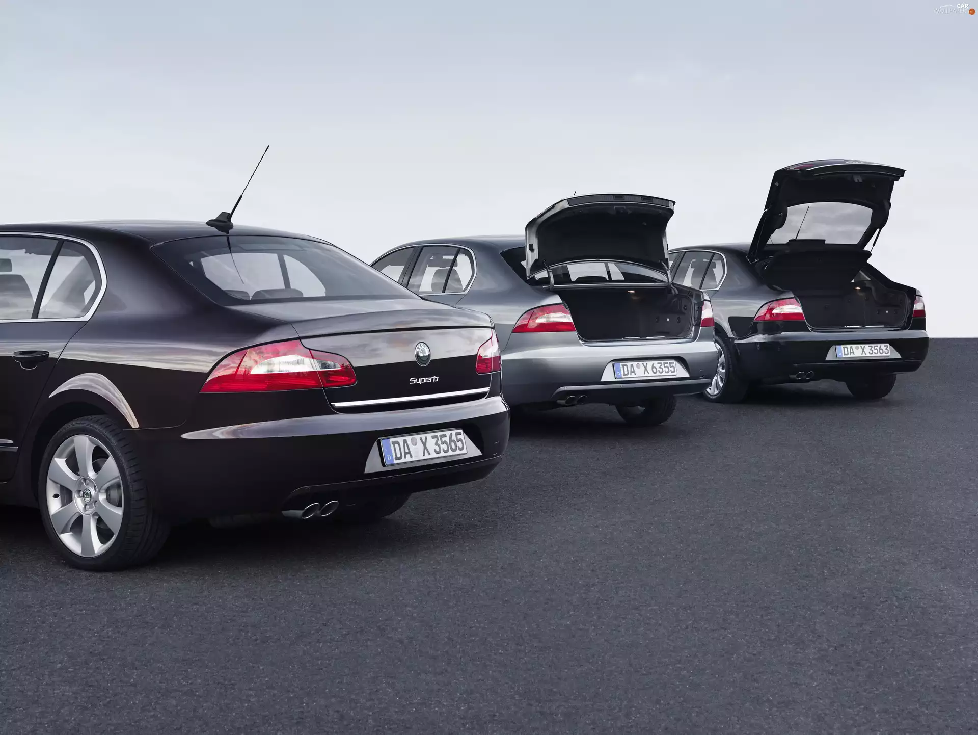 Superb, Racks, Skody