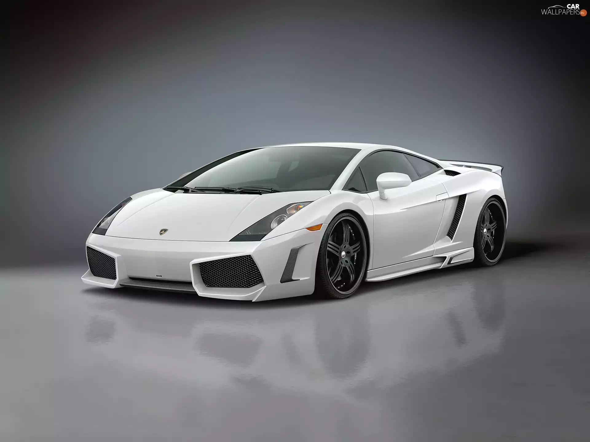 White, Sport games, suspension, Lamborghini Gallardo