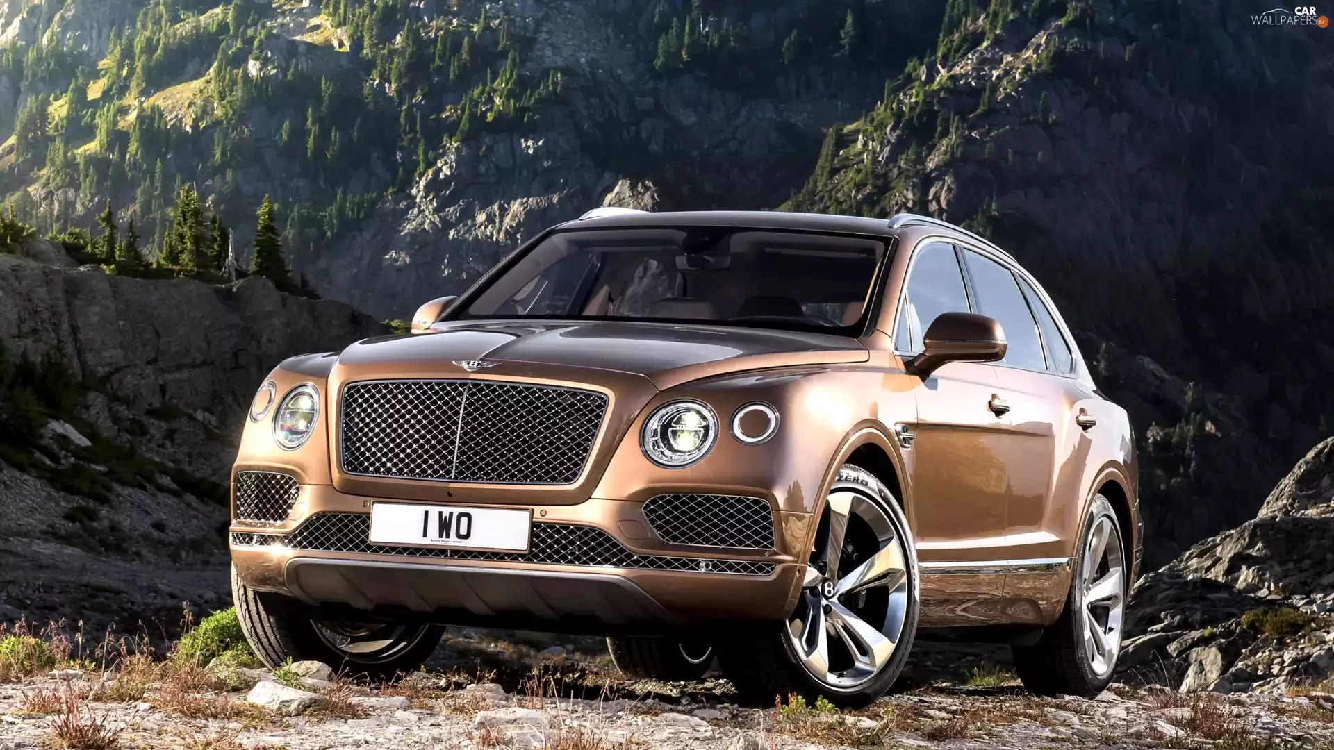Front, Bentley Bentayga, SUV