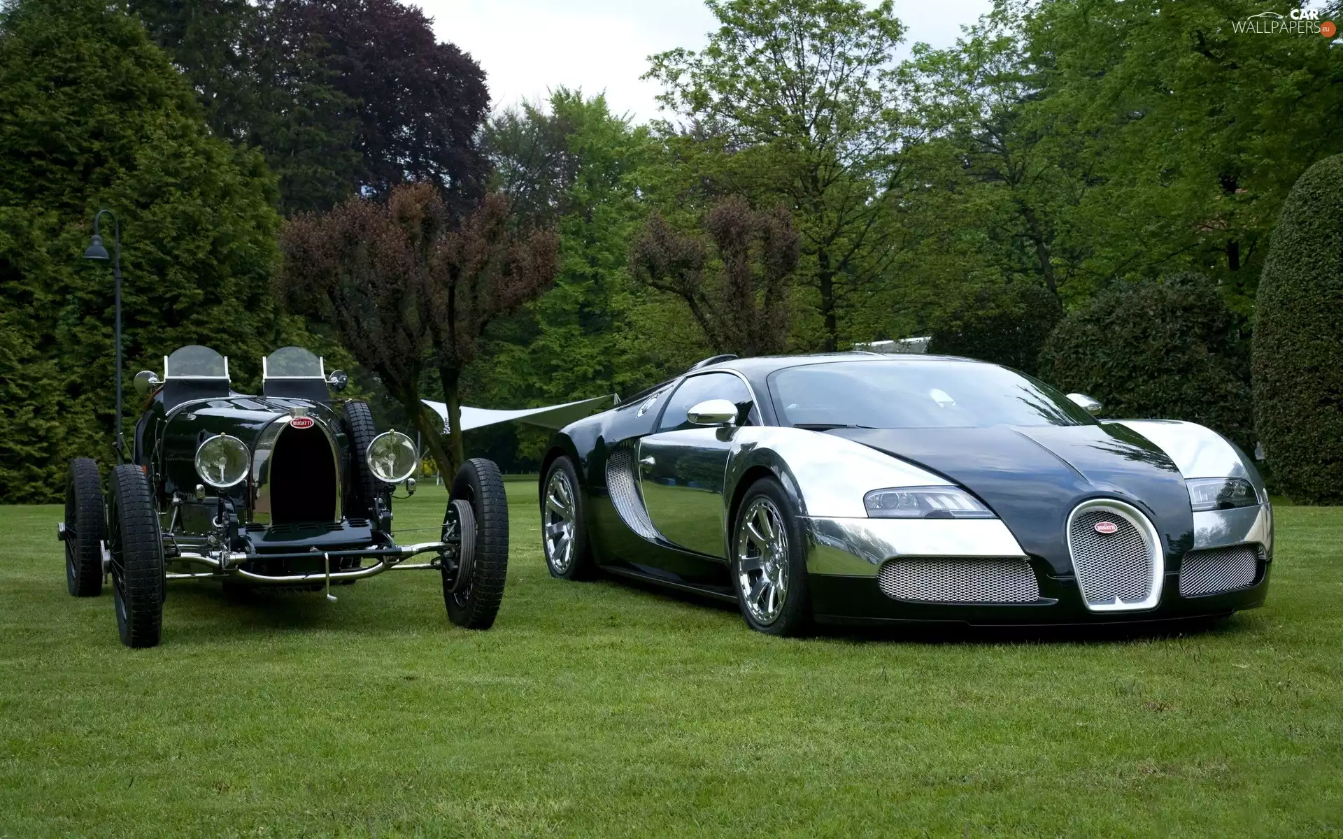 Bugatti Veyron, Bugatti T40