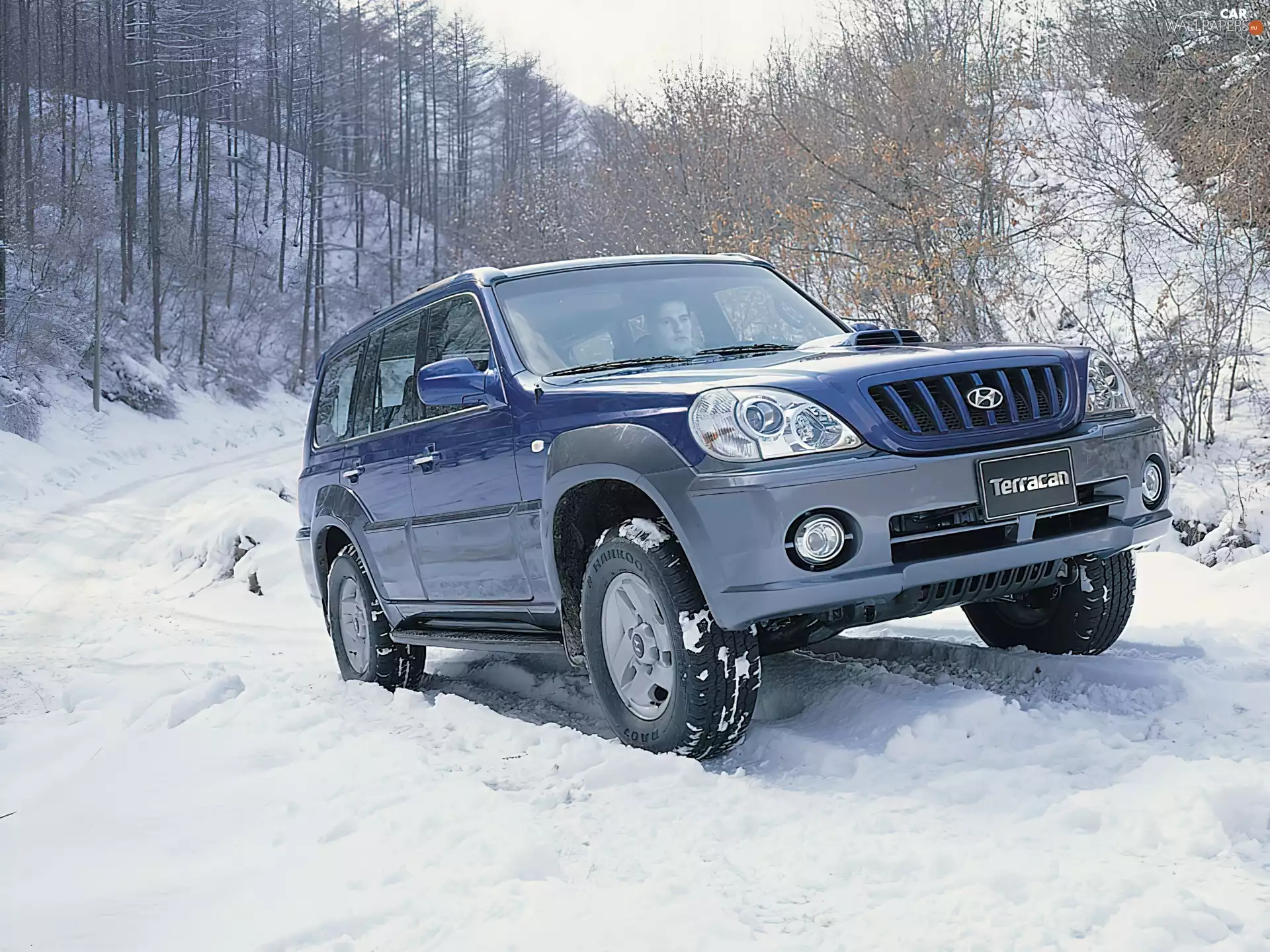 winter, blue, Hyundai Terracan