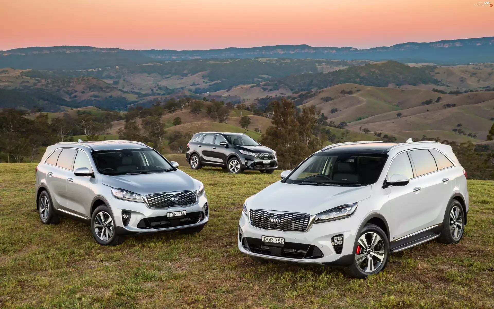 Three, Kia Sorento