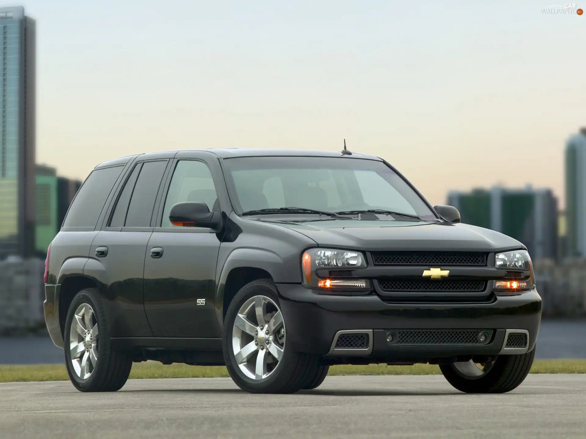 windows, Chevrolet Trialblazer, tinted