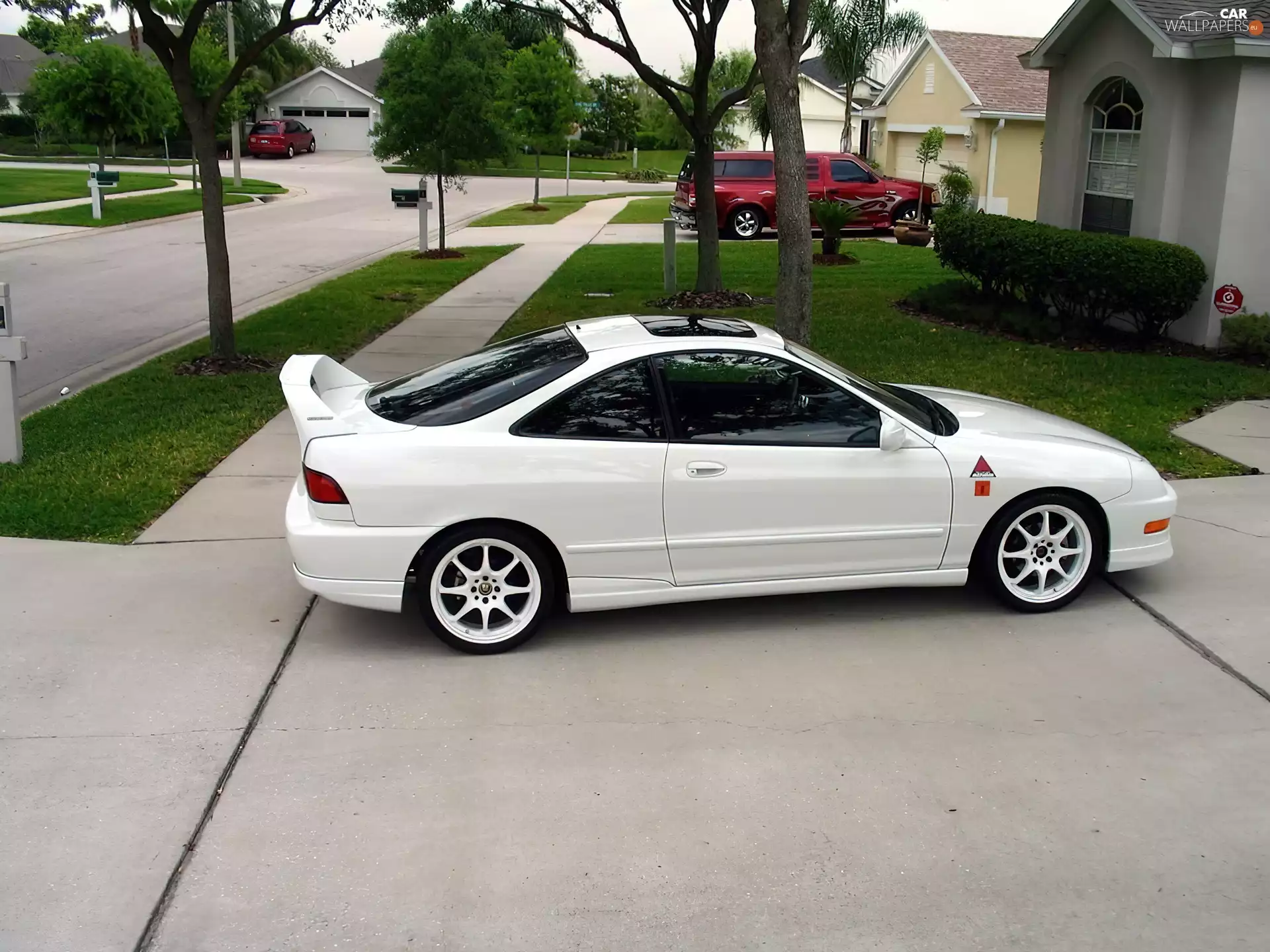 White, tinted, windows, Acura Integra