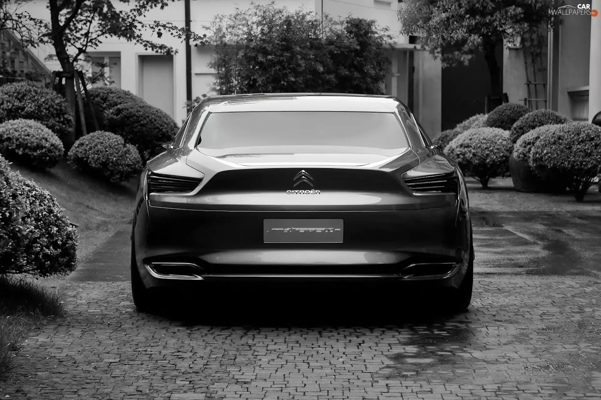 Back, tips, exhaust, Citroen Metropolis