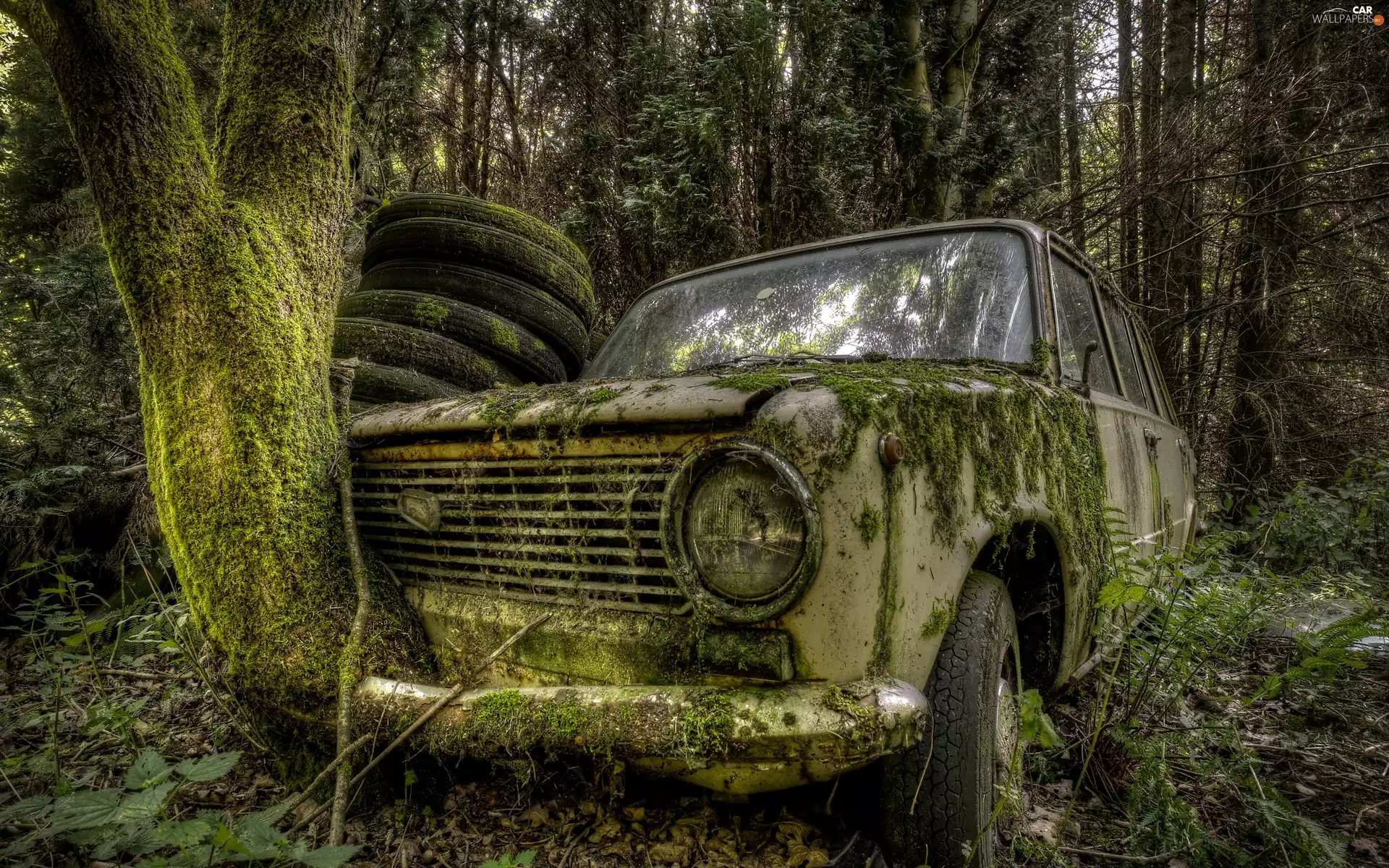 Automobile, Old car, tires, forest, Lada, abandoned
