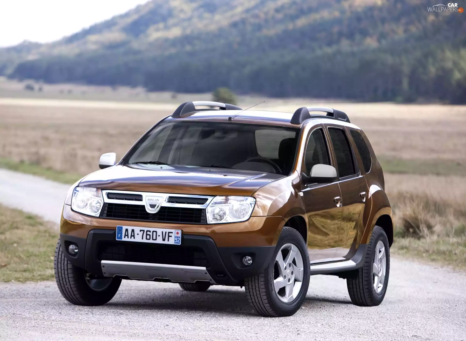 road, Dacia Duster, tires