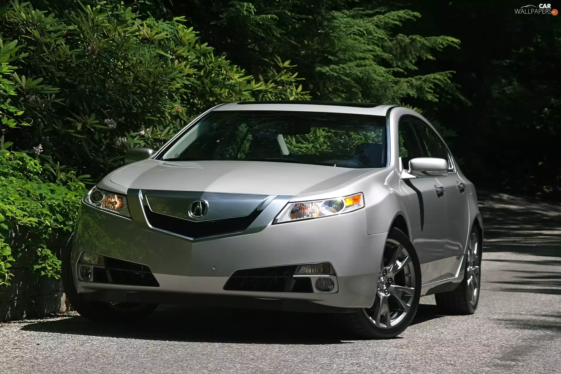 Front, polished, @, Acura TL