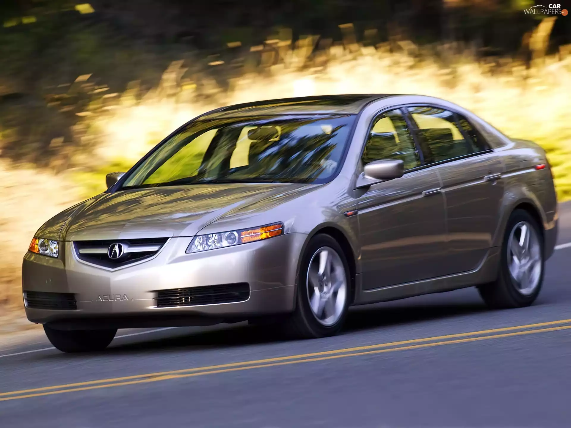 ride, beige, Acura TL