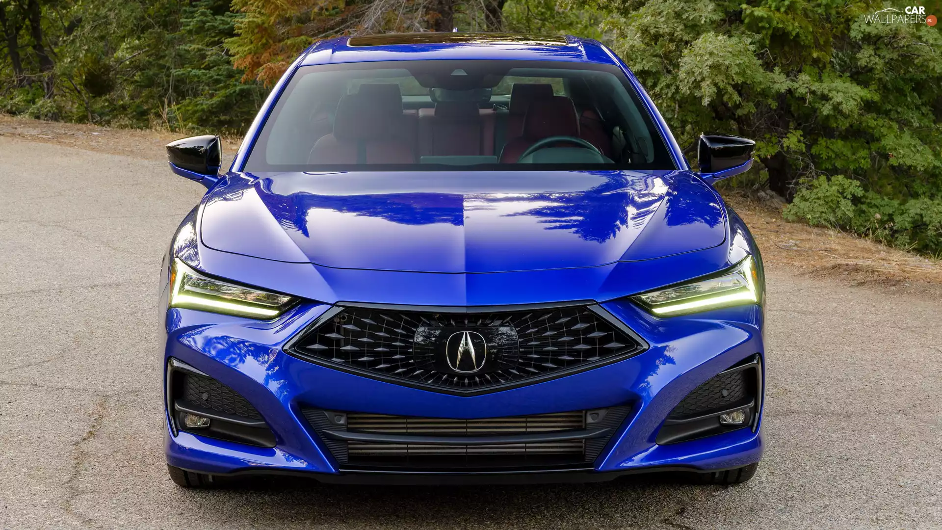 Front, Blue, Acura TLX