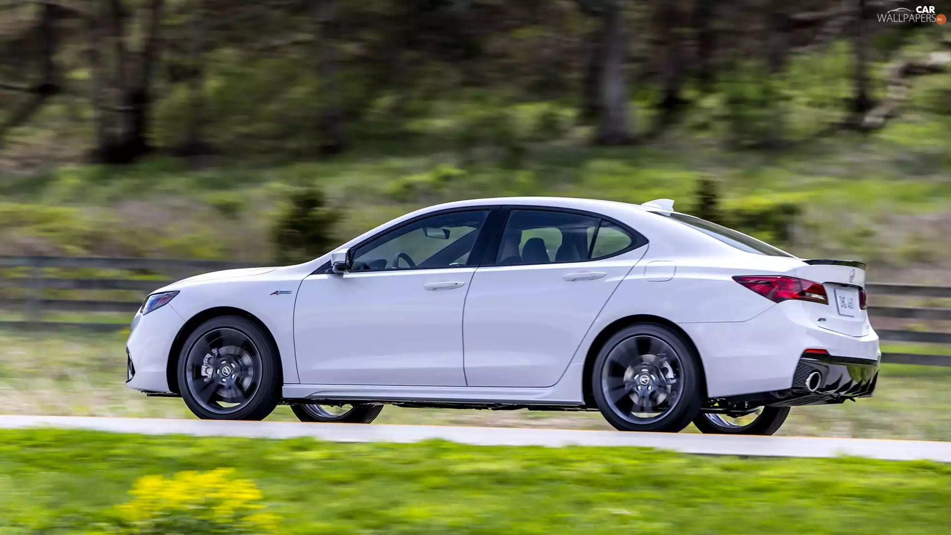 side, White, Acura TLX