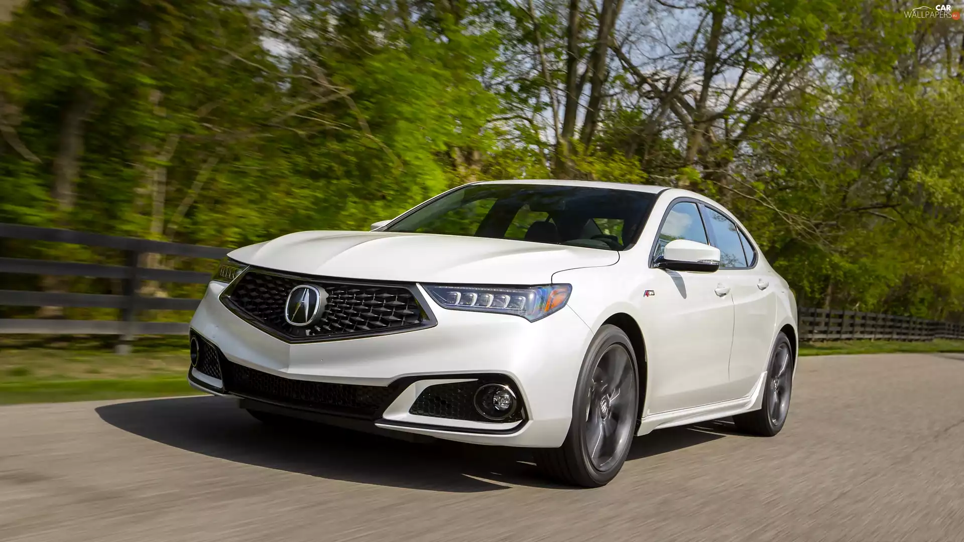Acura TLX, trees, viewes, Way
