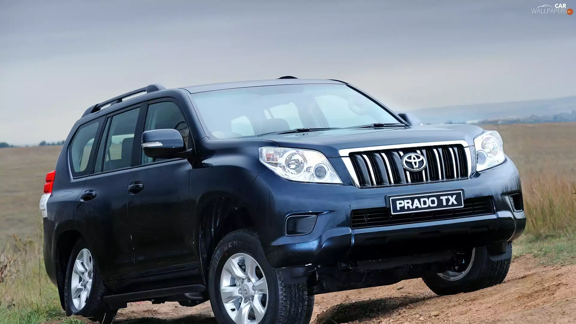 Automobile, Land, Cruiser, Toyota