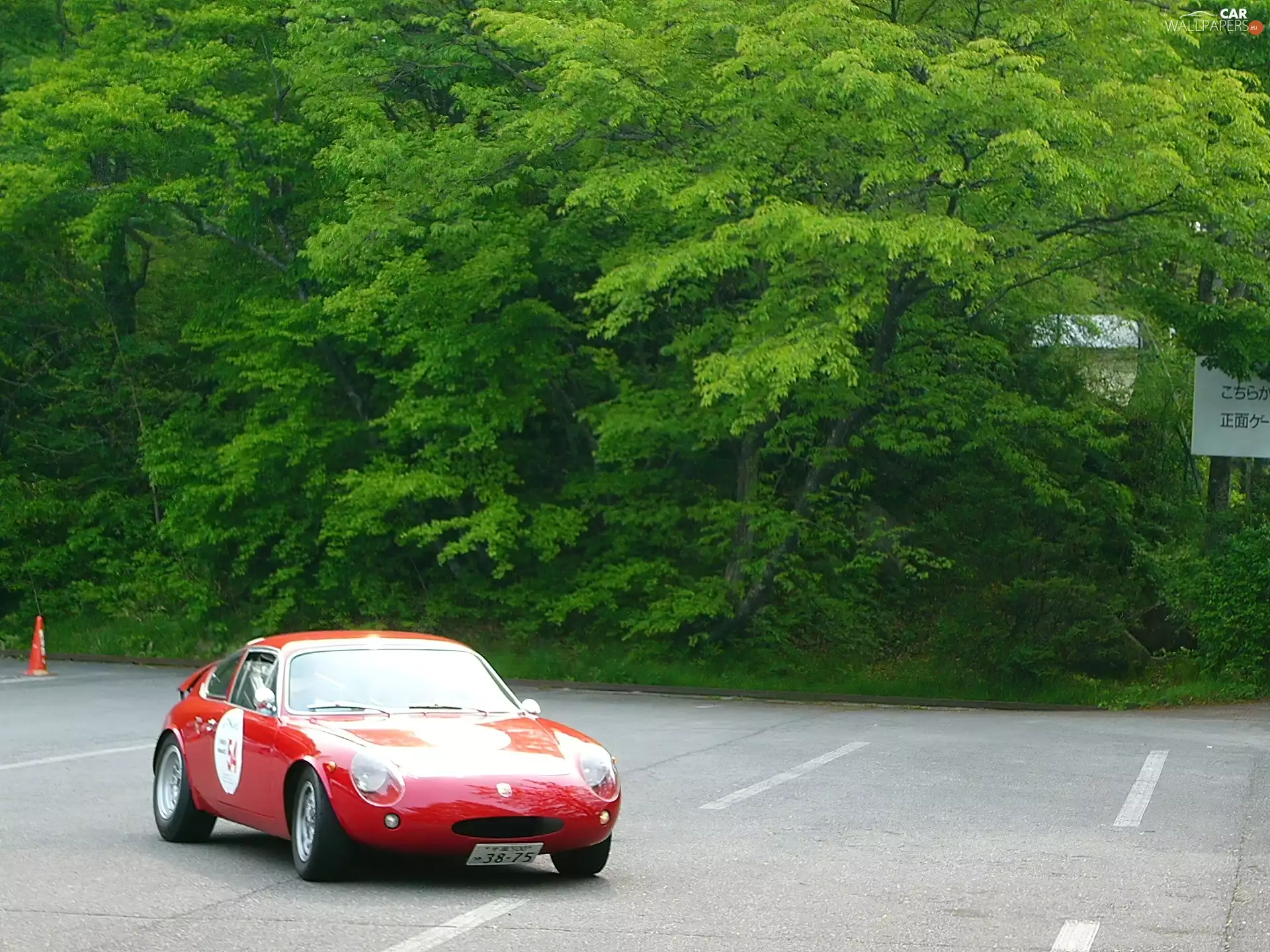 Abarth 1000 Mono, training, forest, wheel
