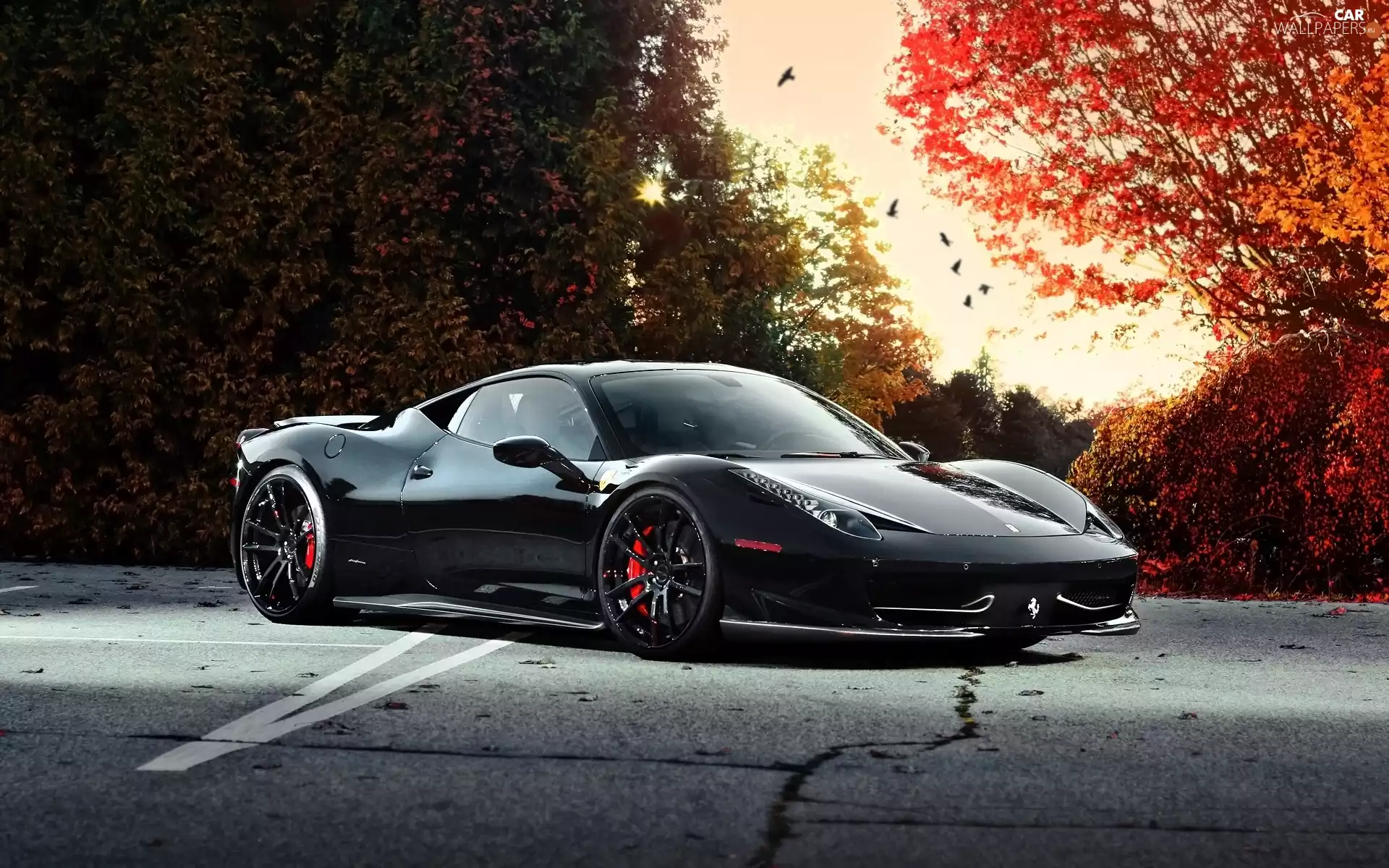 trees, autumn, viewes, Way, Ferrari, 458 Italia, Sport, Automobile, Black