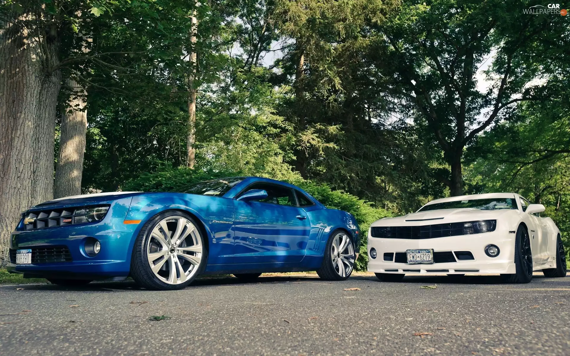 Camaro, Two cars, trees, viewes, Way, Chevrolet