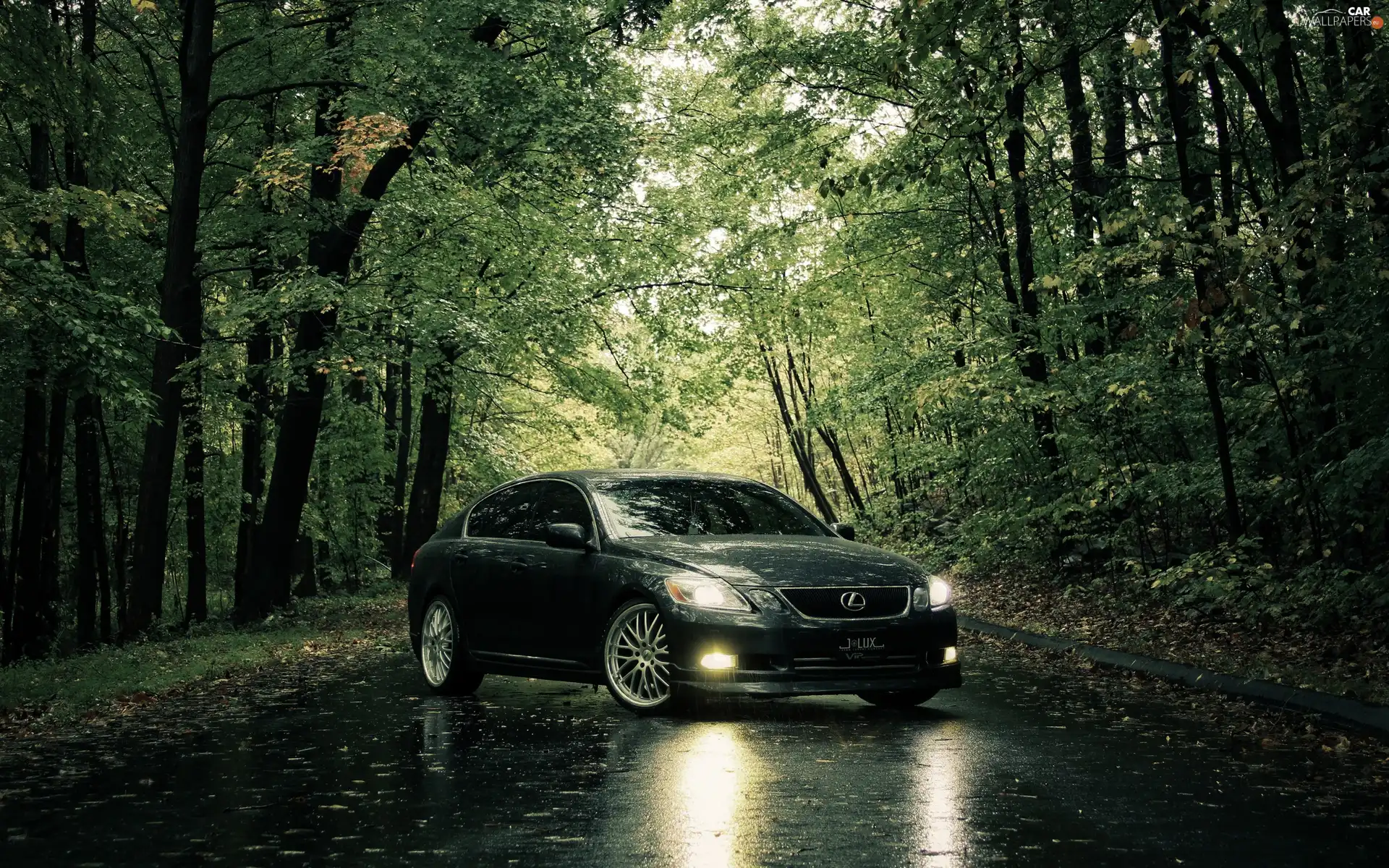 trees, viewes, Lexus IS, Way, Gray