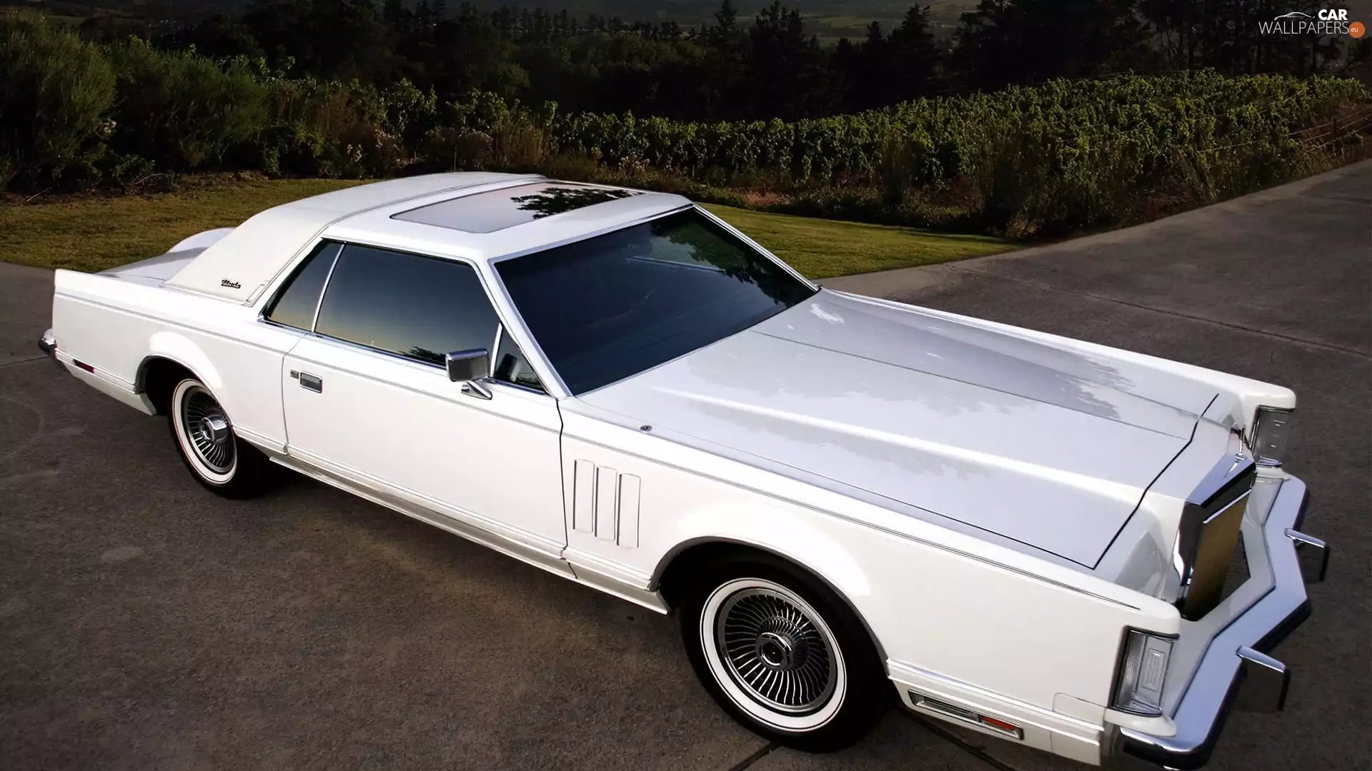 Mark V, Lincoln, trees, viewes, Way, Continental