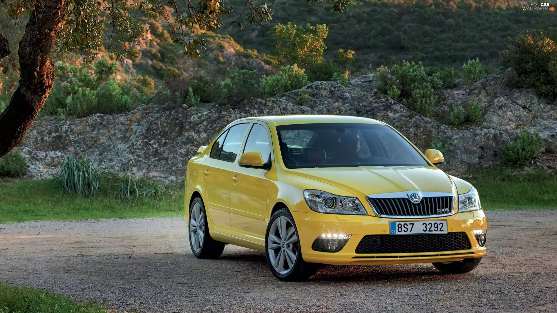 RS, Skoda, Plants, trees, Rocks, Octavia