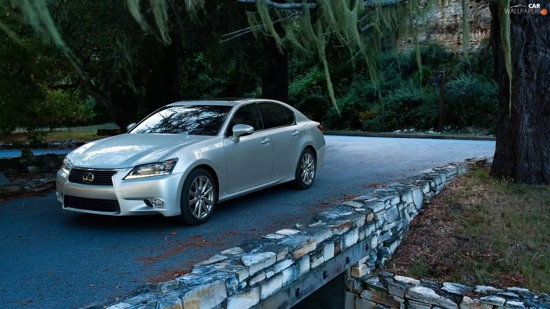 Lexus, trees, viewes, GS 350