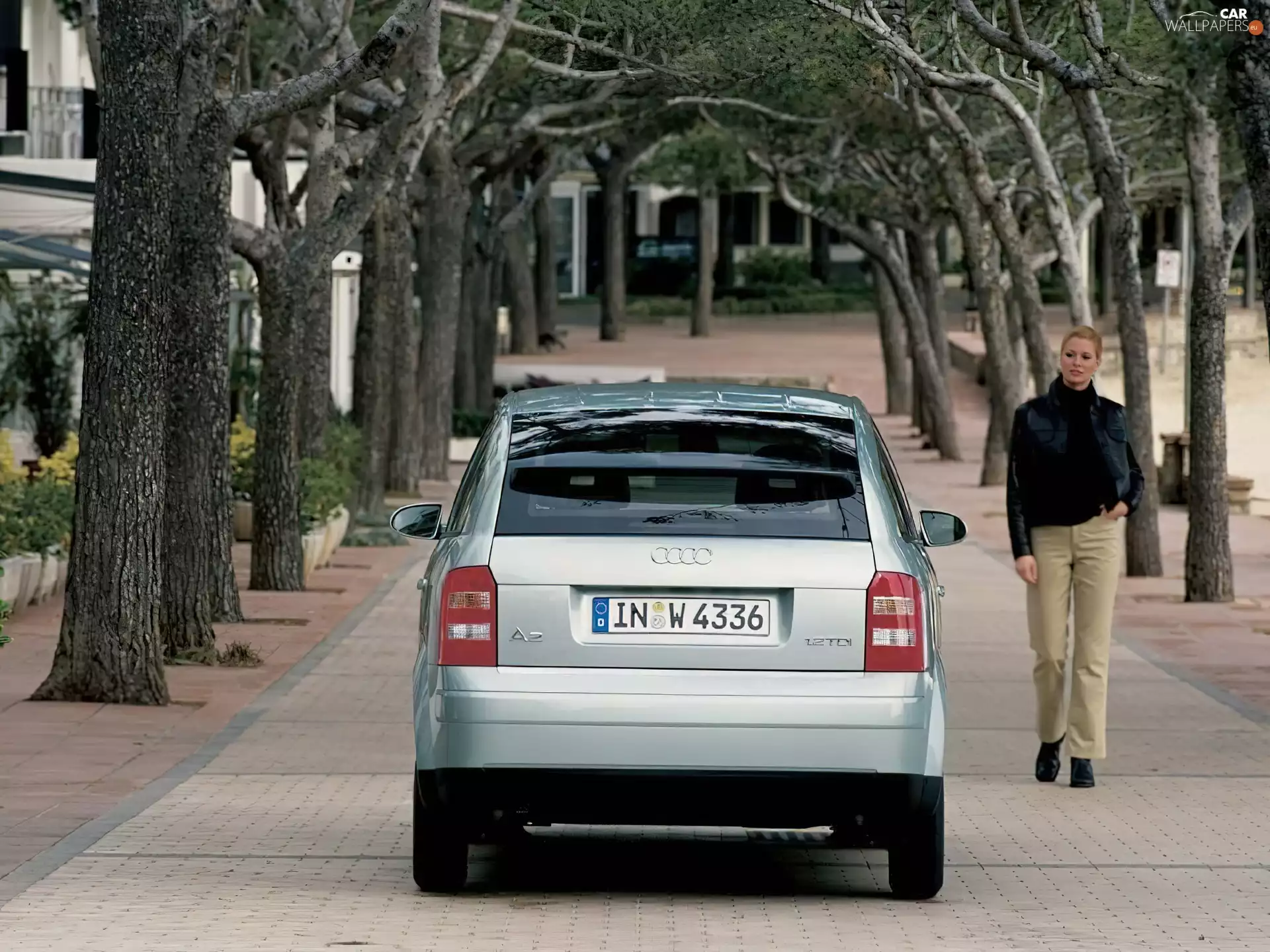 viewes, Audi A2, trees