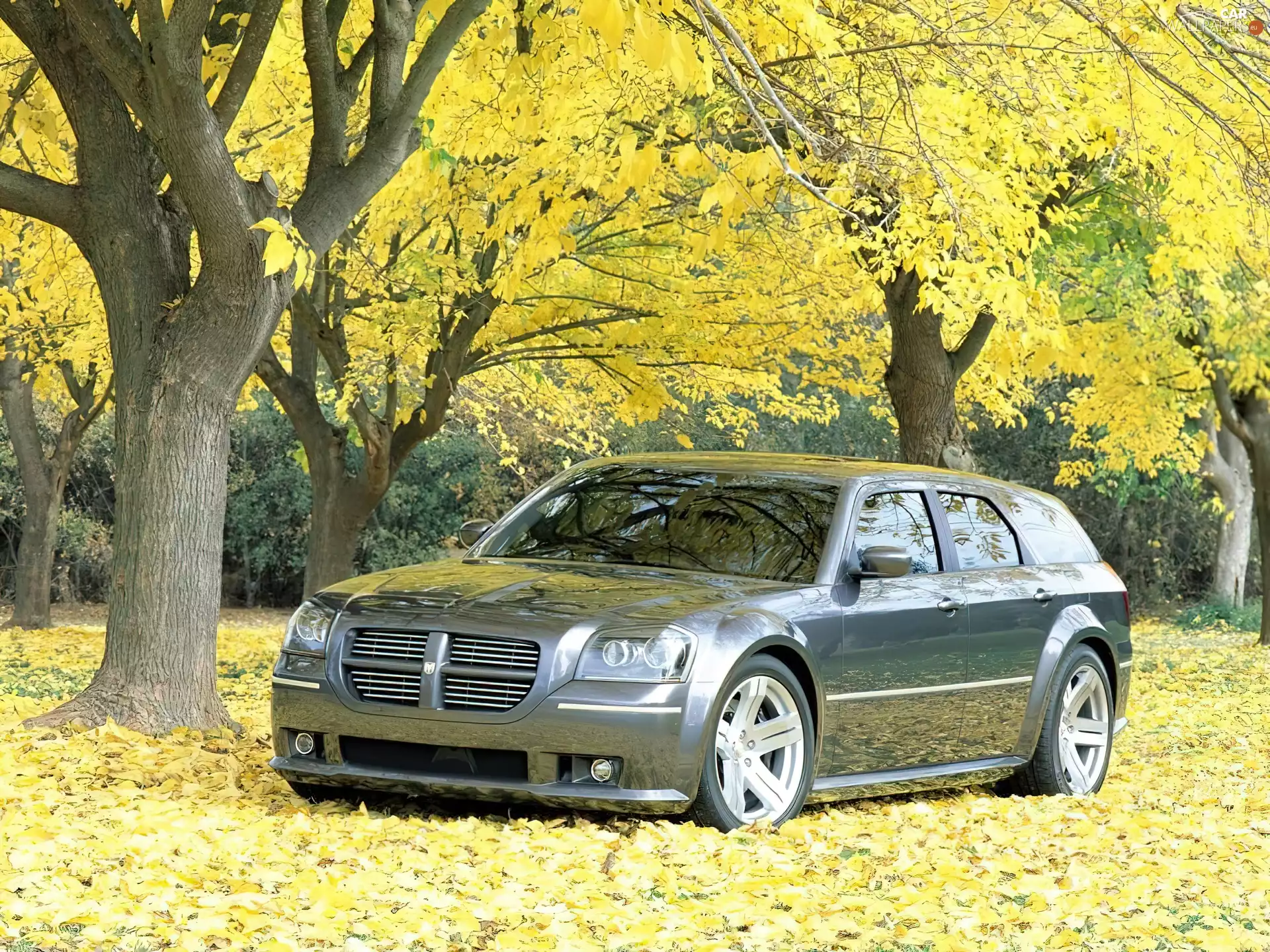 viewes, Dodge Magnum, trees