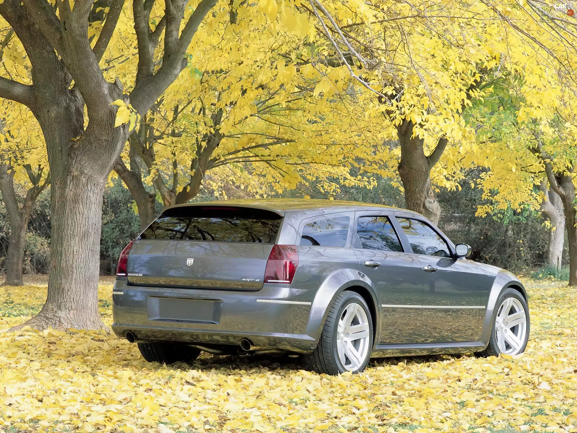 viewes, Dodge Magnum, trees