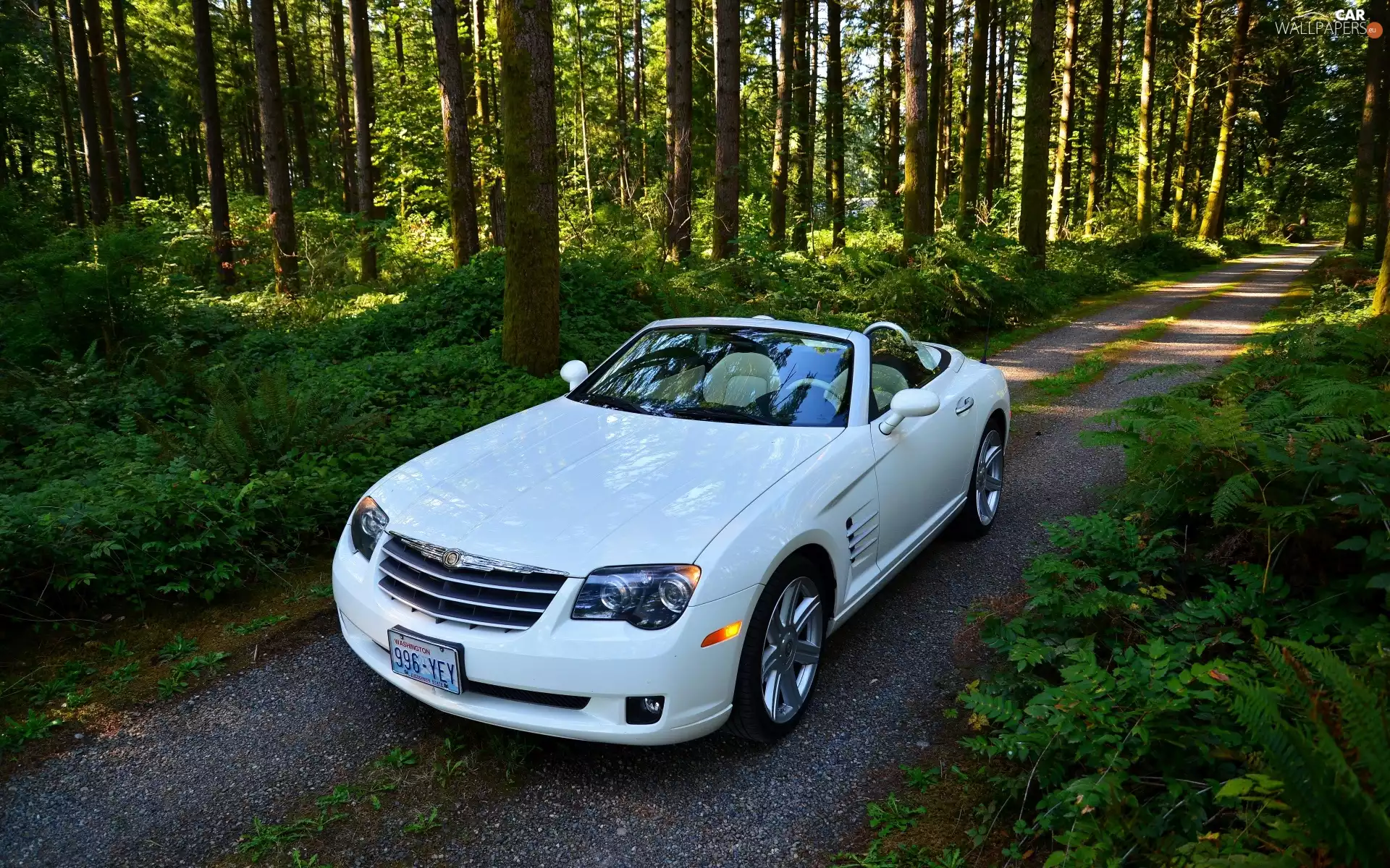 trees, forest, viewes, Way, Crossfire, Cabriolet, White, Chrysler, Automobile