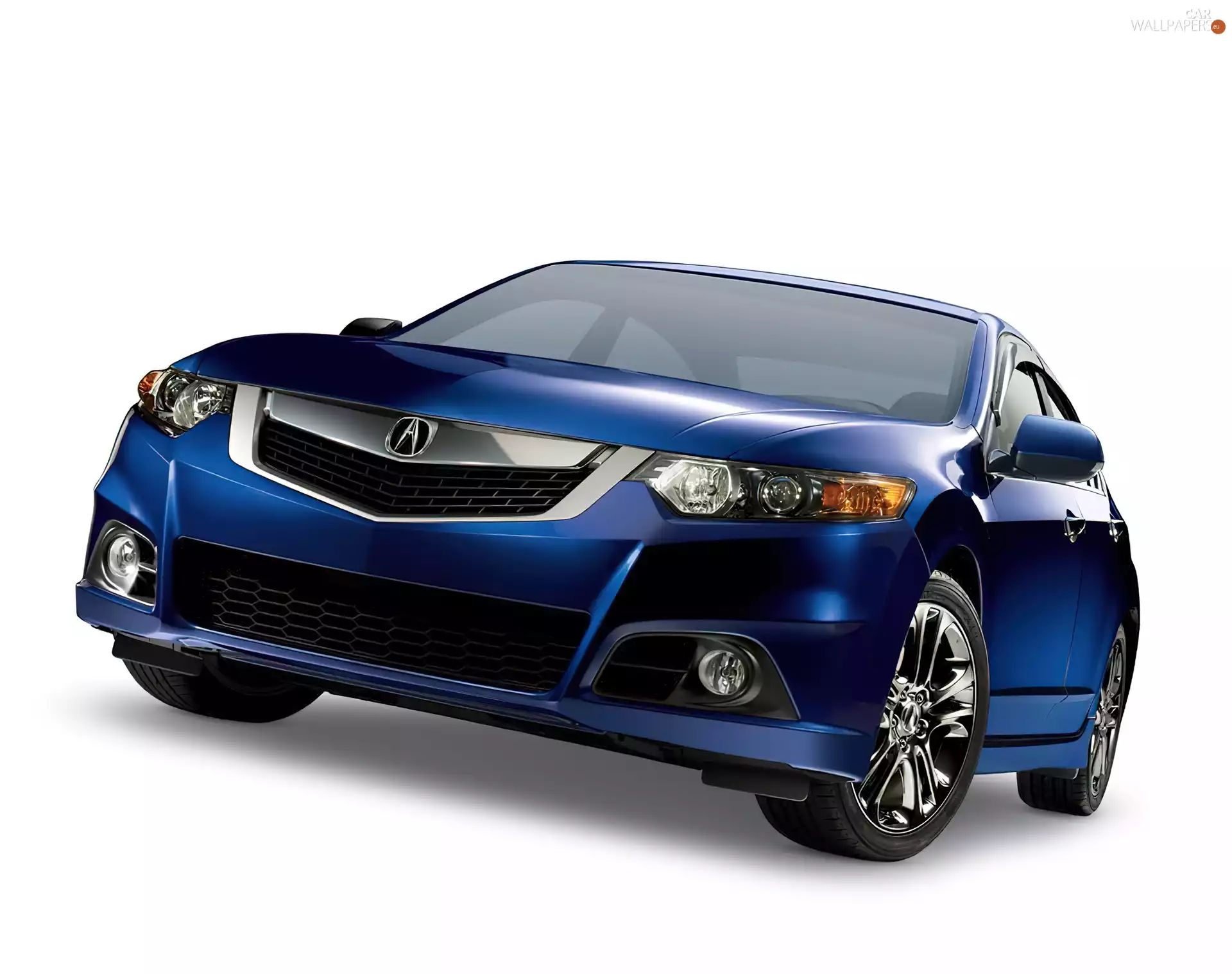 dummy, Blue, Acura TSX