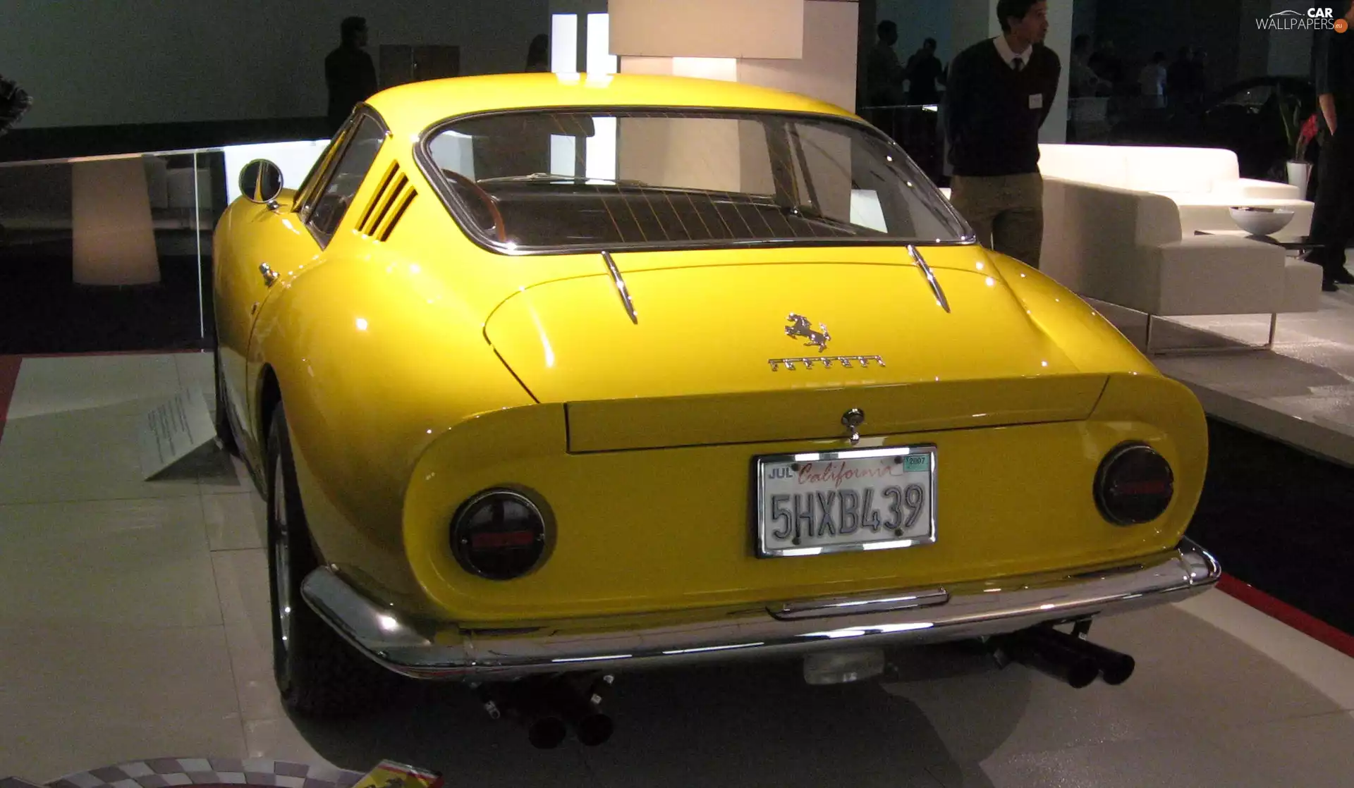 Back, tubing, exhaust, Ferrari 275