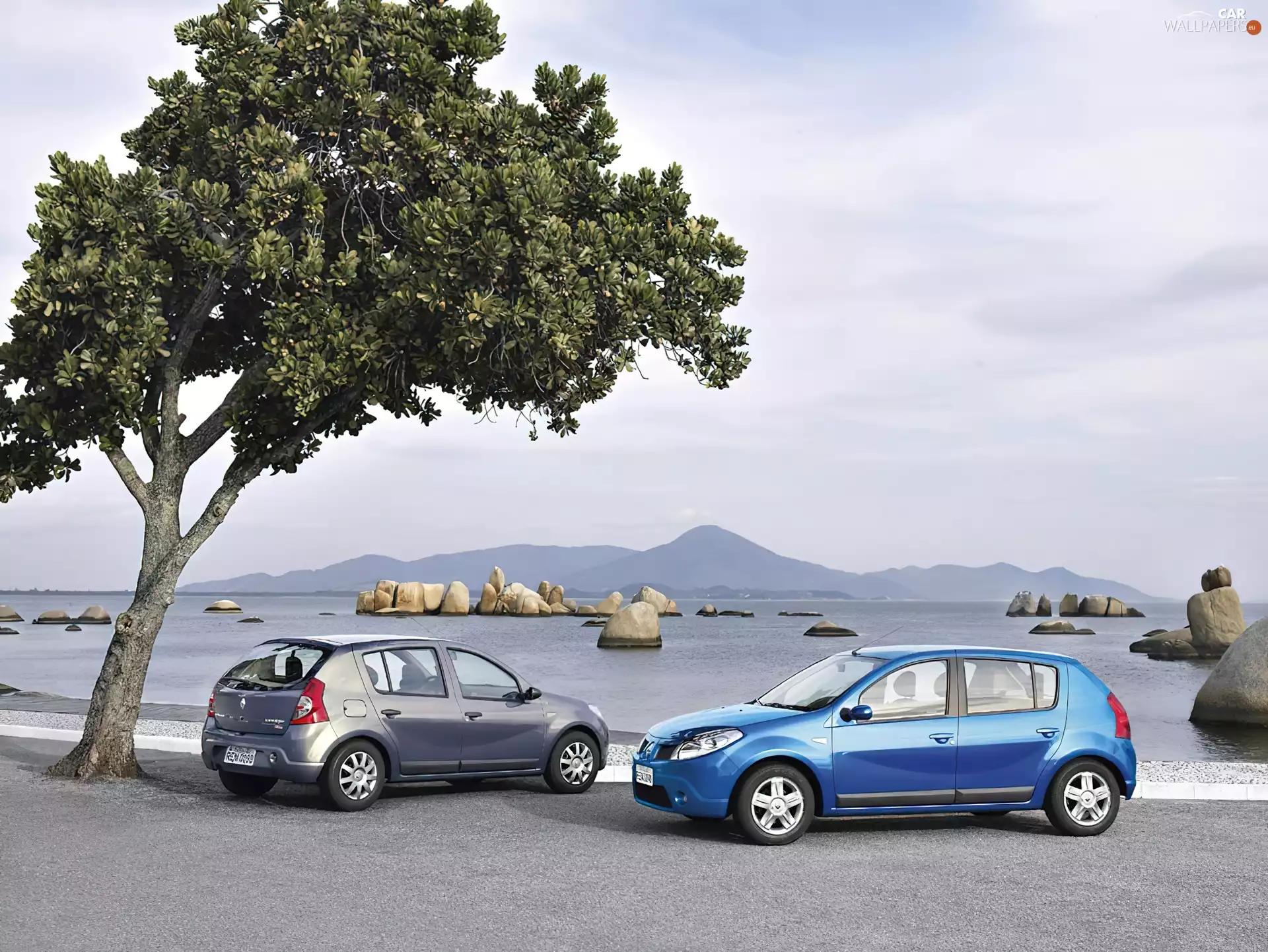 art, Dacia Sandero, Two