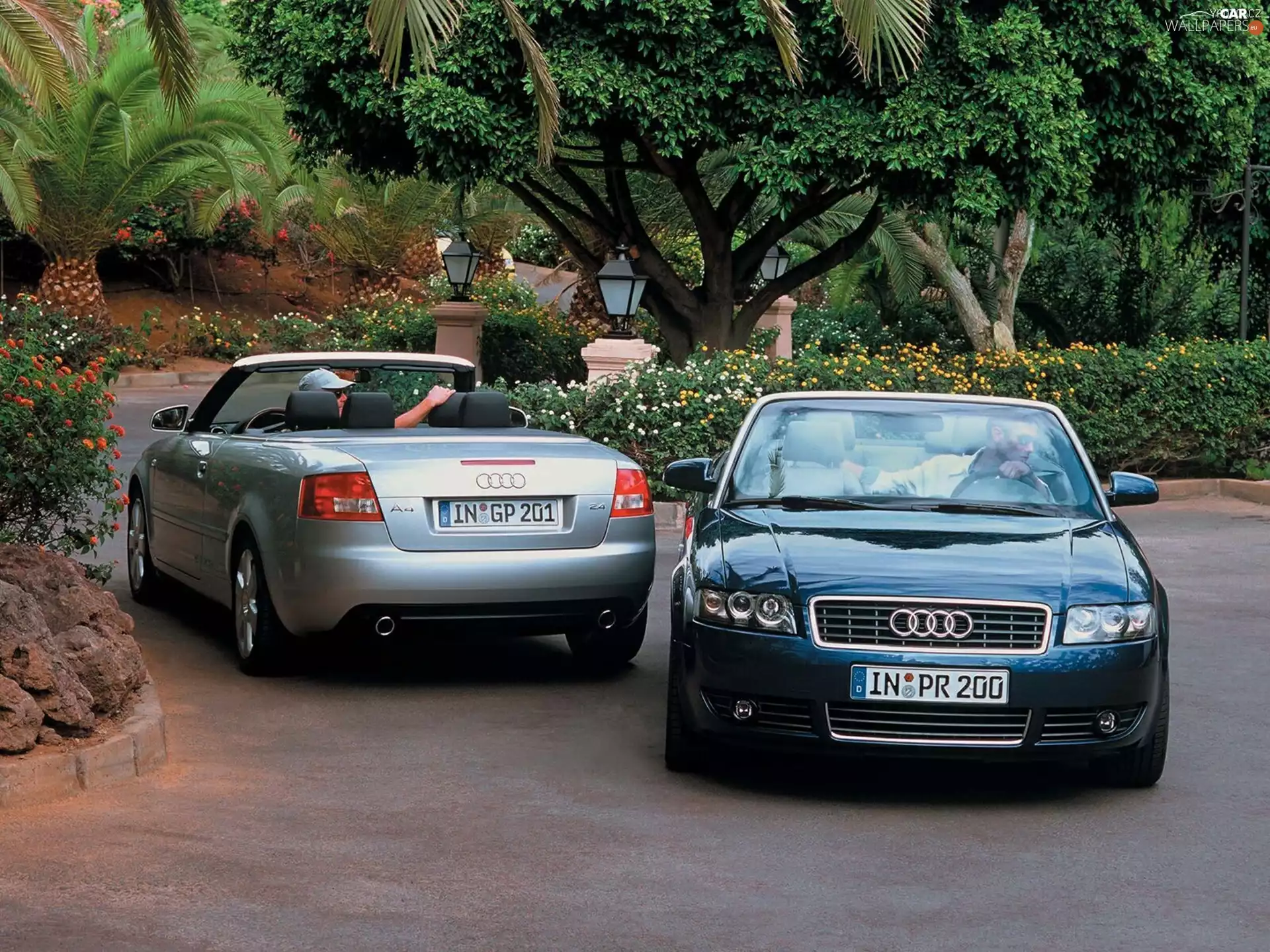 Cabrio, Two cars, Audi A4