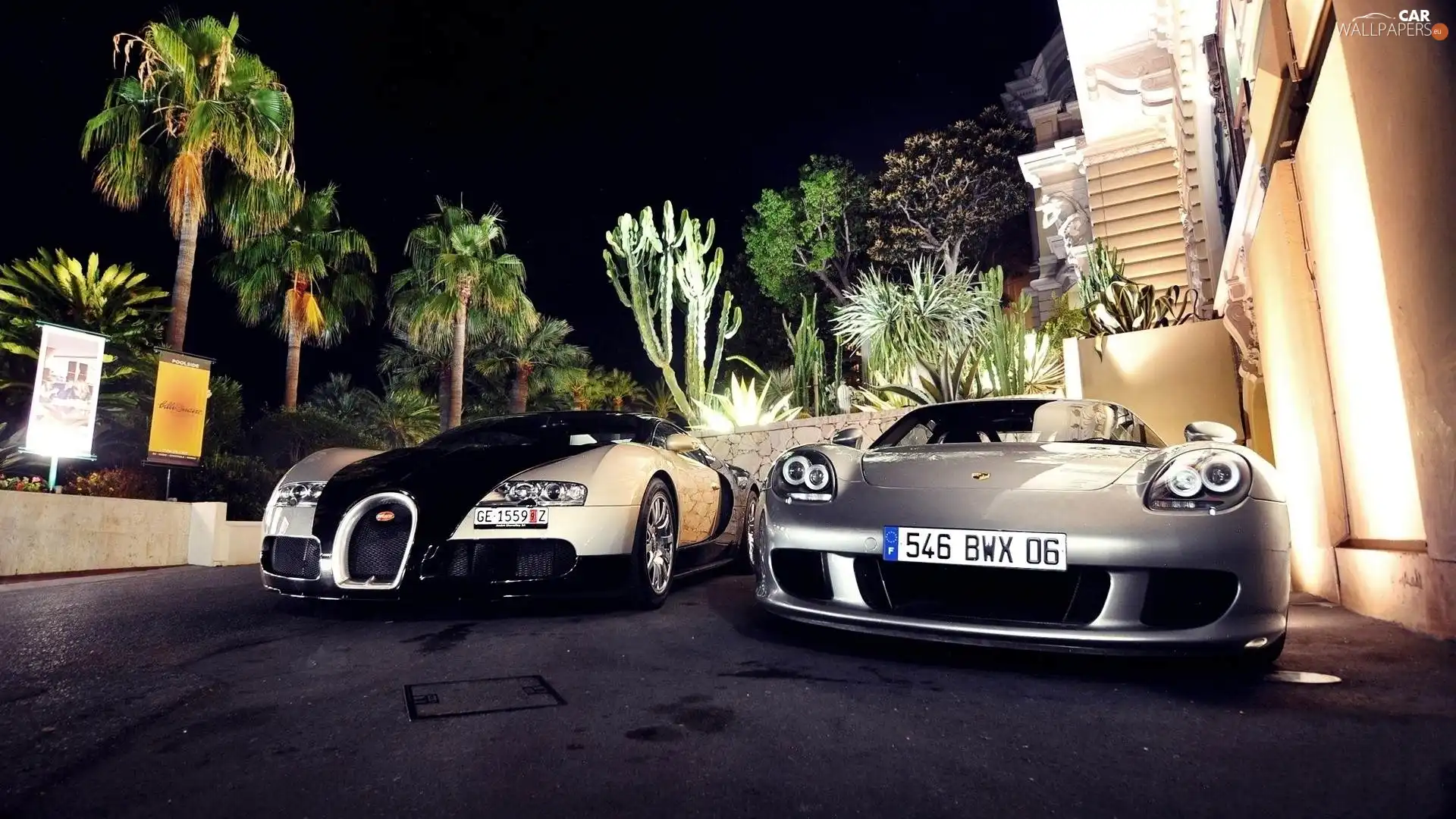 Porsche Carrera Veyron, Cactus, Two cars